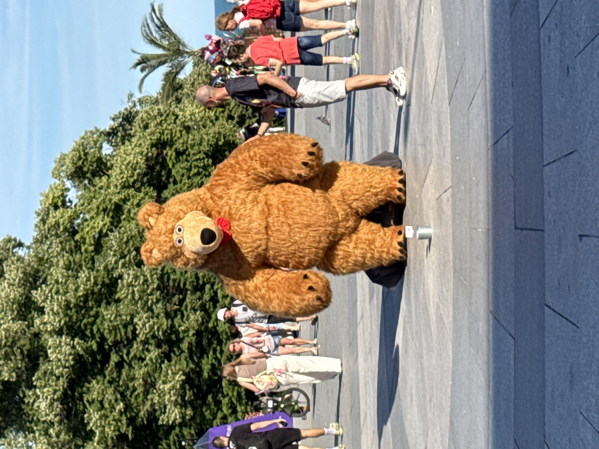 An outdoor street scene on a paved plaza features a person in a large, fluffy brown bear costume, complete with a red bow tie. The bear is standing and appears to be interacting with a bald man in a dark t-shirt and white shorts, who is shaking its hand. In the background, several other people are walking around, some carrying bags or wearing hats. Behind them, lush green trees form a backdrop against a clear blue sky. A palm tree is visible to the right. The ground is made of large, light-colored square tiles.