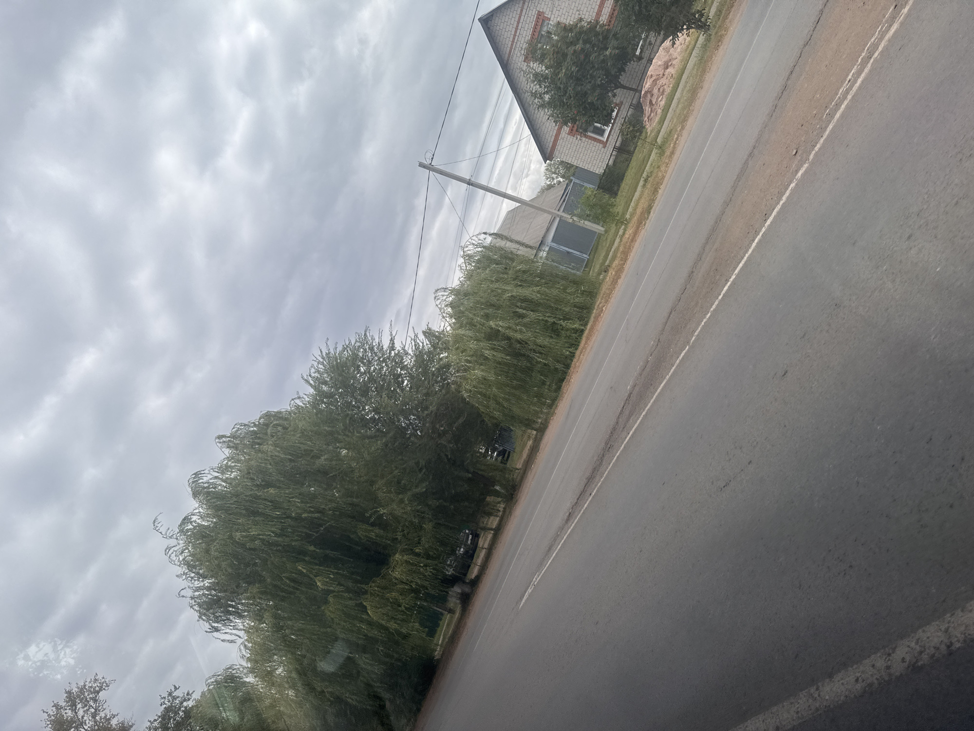 The image depicts a rural road scene in Novosergiyevka, Russia, under a cloudy sky. A paved road with a white line marking the lane occupies the foreground, with a dirt shoulder to the right. On the left side of the road, a dense cluster of mature weeping willow trees lines the roadside, their branches cascading downwards. Beyond the trees, several parked cars are visible, suggesting a residential area. Further to the right, a house with a brick facade and a gable roof is situated behind a small tree. Another smaller house with a grey roof is visible to the left of the brick house. A utility pole with overhead wires stands between the houses. The environment appears to be a typical rural or suburban landscape with vegetation and residential structures.