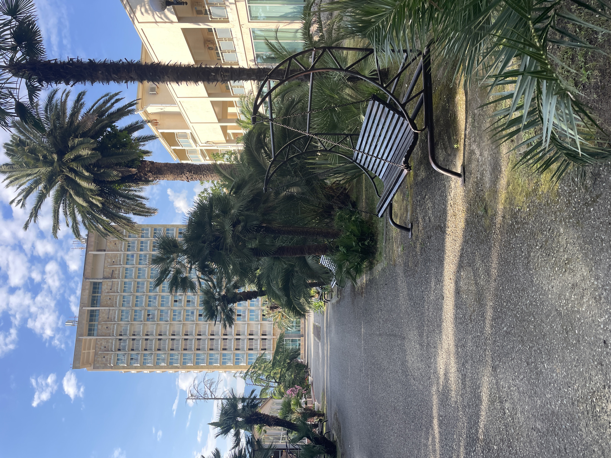 The image depicts an outdoor scene, likely a park or courtyard, with a paved pathway leading into the distance. Flanking the pathway are lush green palm trees of varying sizes and species. In the foreground to the right, a dark metal swing set with a slatted wooden bench is prominently featured. Further down the pathway, to the left, is a light-colored, multi-story building with numerous balconies. To the right of this building, a lower, lighter-colored structure with balconies and large windows is visible. The sky above is blue with scattered white clouds. The lighting suggests it is daytime, with sunlight casting shadows on the pathway. The environment appears to be well-maintained and tropical or subtropical in climate, consistent with a location like Gagra, Abkhazia. There are no people visible in the image.