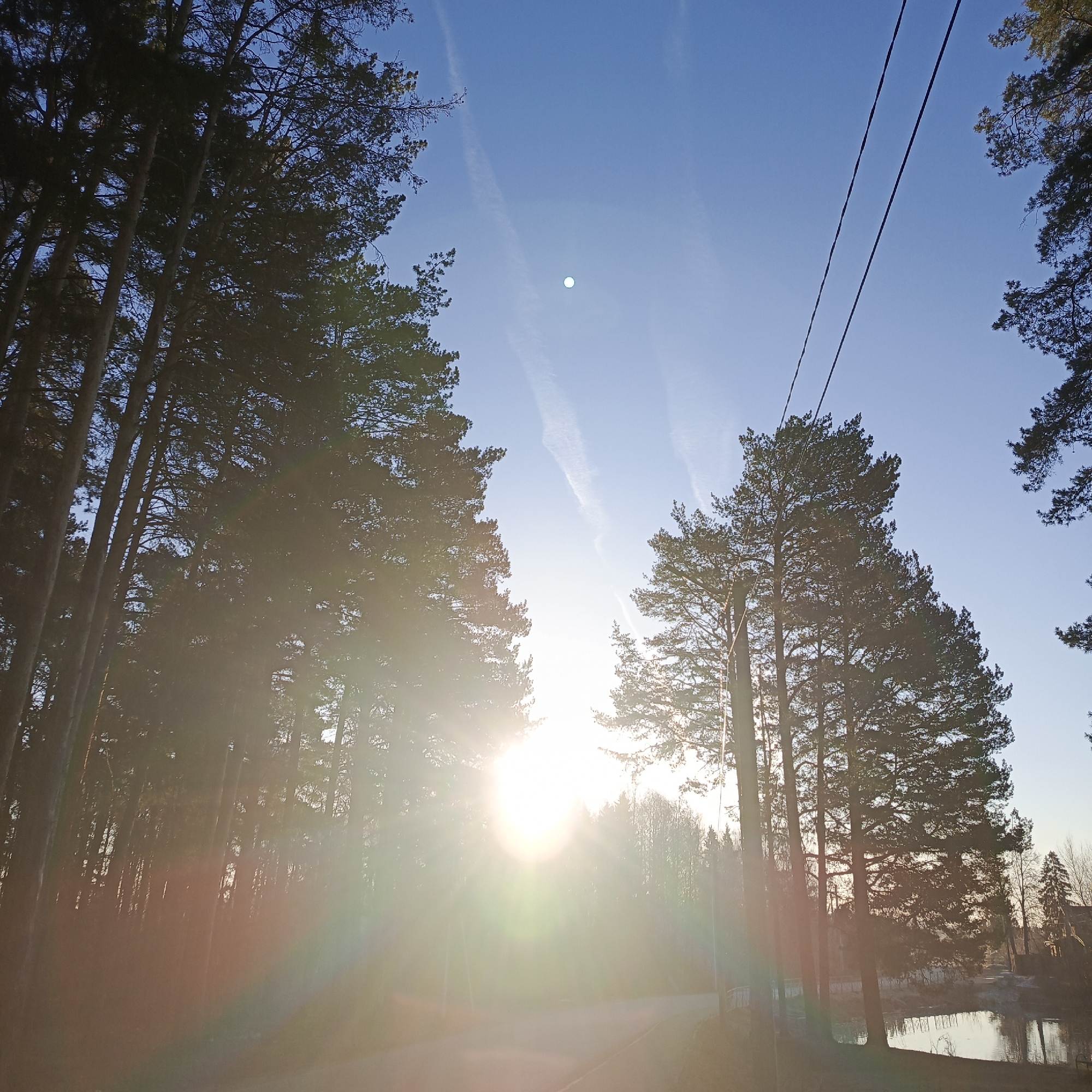 A low-angle, wide shot shows tall trees framing a bright sun in a blue sky over Chaikovsky, Russia. Vapor trails cross the upper sky. Power lines cut across the upper right portion. The sun is low on the horizon, creating lens flare. The treeline is dense and obscures the background. A small pond is visible at the lower right. A road runs through the lower portion of the frame.