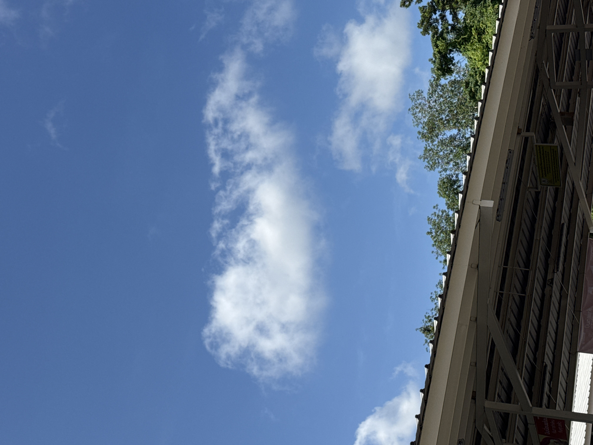 The image captures a clear blue sky with scattered white clouds, positioned above the roofline of a building. The building appears to be a covered outdoor structure, possibly a market or a bus stop, with a corrugated metal roof supported by visible beams and pillars. Along the edge of the roof, a row of trees with lush green foliage is visible. Some signs with Thai text are attached to the underside of the structure, one of which is yellow with black text and a warning symbol. The scene is well-lit, suggesting it is daytime. The location is identified as Wichit, Thailand.