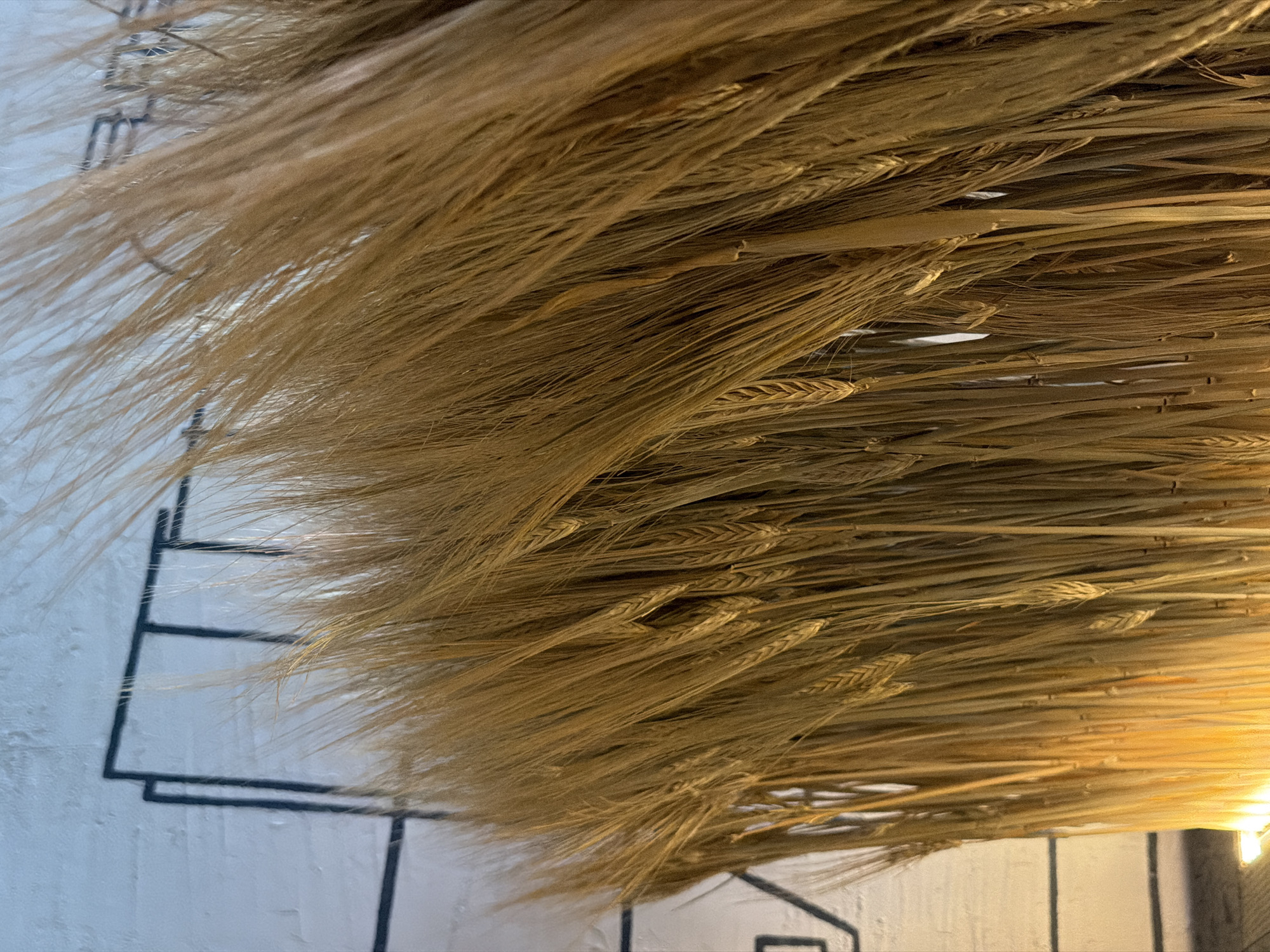 A close-up shot presents a decorative element, consisting of a dense arrangement of dried wheat or barley stalks. The stalks are predominantly golden-brown, suggesting they are ripe and dry. The arrangement creates a textured, organic surface.
In the background, portions of a white wall with black linear drawings are visible. The drawings appear to depict simple geometric shapes. A light source from the lower right adds a subtle glow.
The location is identified as Tyumen, Russia, based on metadata or context.