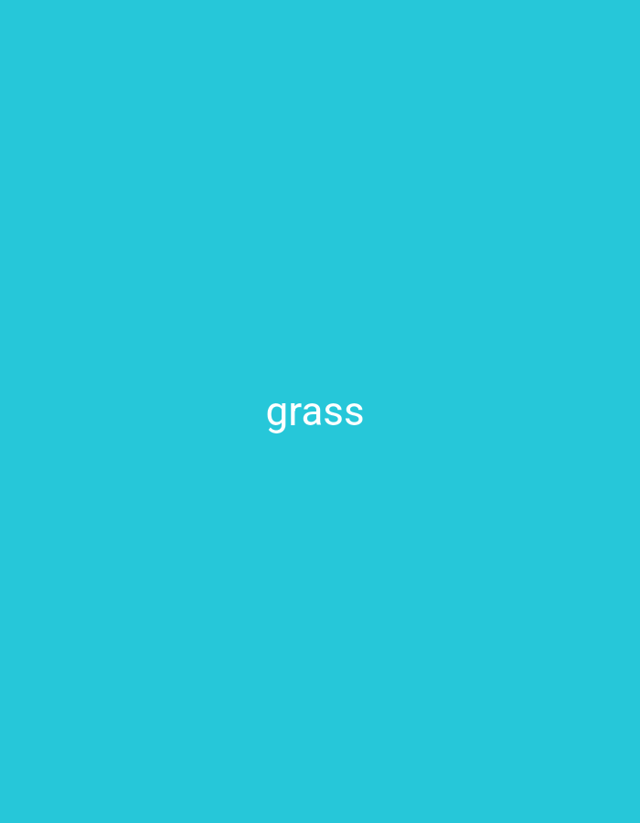 The image displays the word "grass" in white text centered on a solid teal background. There are no people, objects, or discernible environmental features present in the image. The location in Nsugpe, Nigeria is not visually represented.