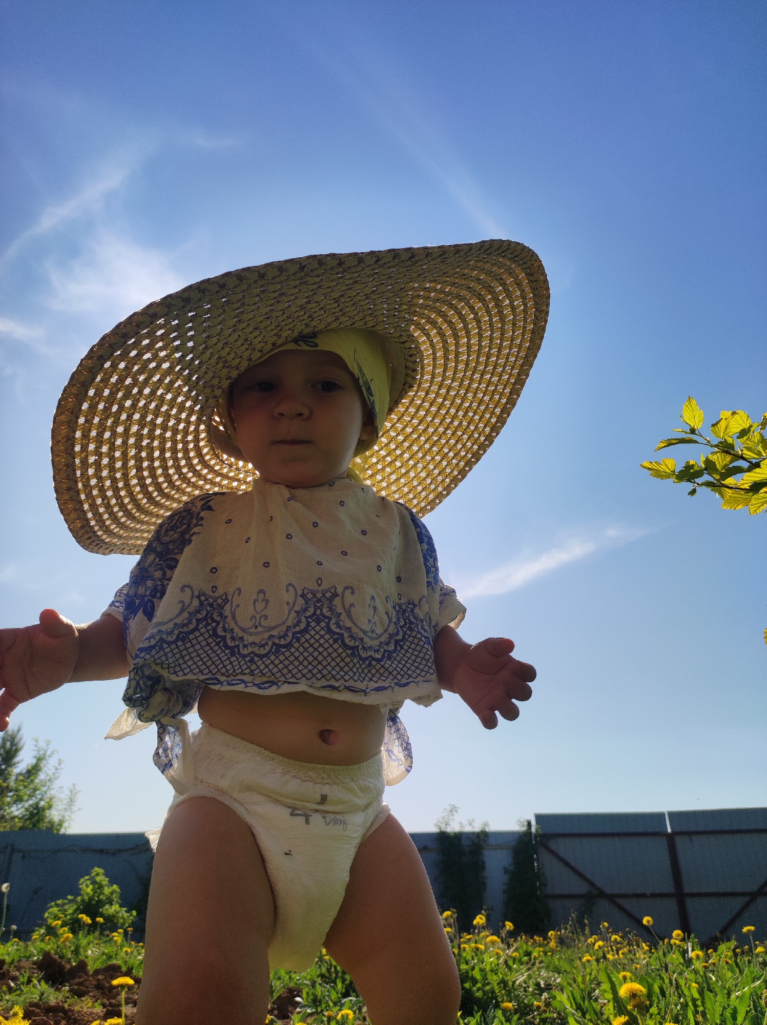 A baby wearing a large straw hat, a white shirt with blue patterned trim, and a diaper stands outdoors on a sunny day. The baby is positioned in the foreground with its arms outstretched, appearing to be walking. A field of dandelions is visible at the baby's feet. Behind the baby is a gray fence and some greenery. The sky is blue with a few wispy clouds. The location is likely in a garden or yard area. It is not possible to pinpoint the exact location in Фоки, Russia from the provided image alone.