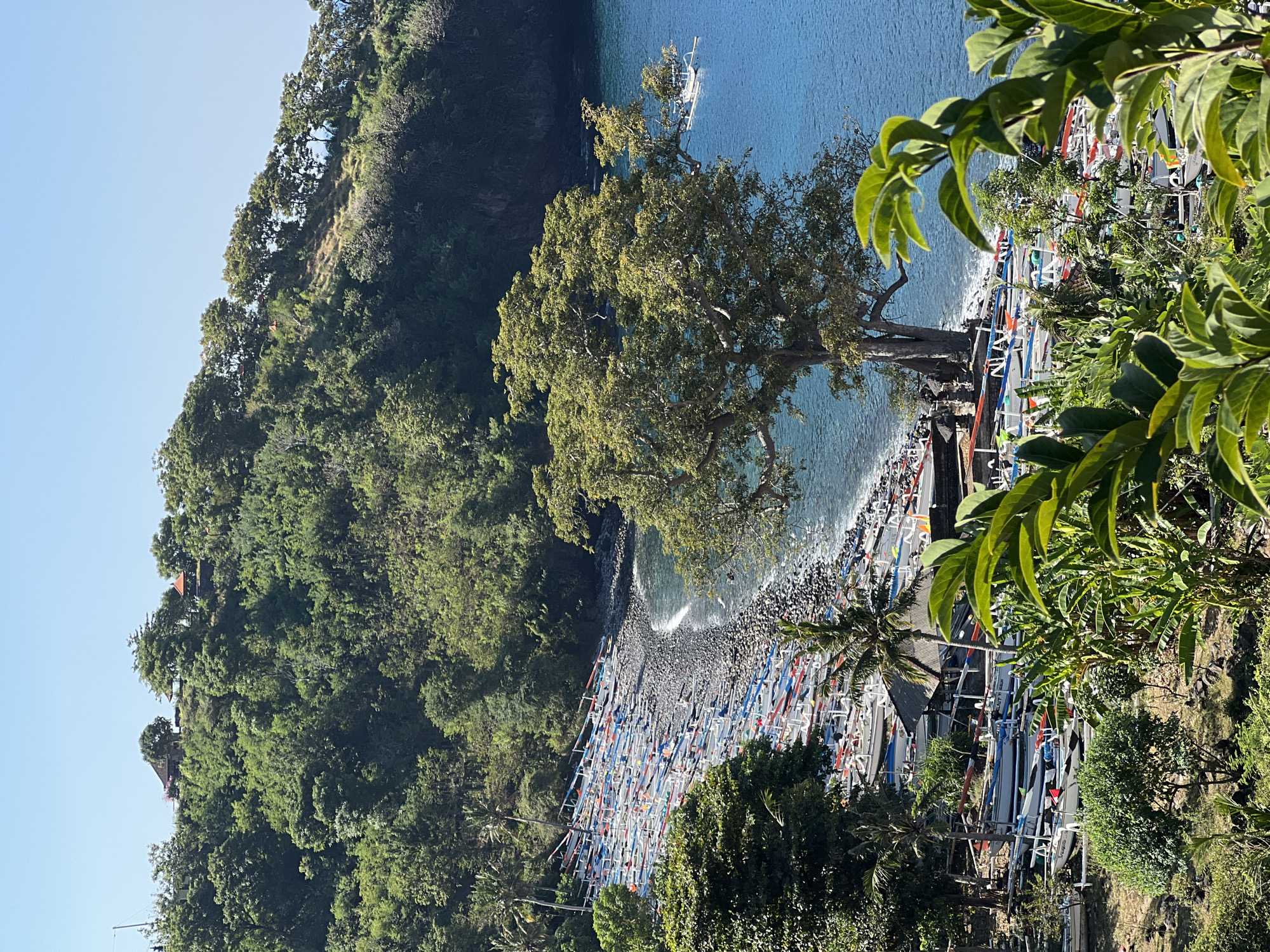 This media file depicts a scenic coastal landscape in Abang, Indonesia. The scene is dominated by lush green foliage, with a dense forest covering a steep hillside that slopes down towards the ocean. The water is a vibrant blue, and a small white boat is visible in the distance.
Along the rocky shoreline, a large number of traditional fishing boats are neatly arranged. Many of these boats are adorned with colorful flags and banners, adding a lively visual element to the scene. The boats are lined up closely together, suggesting they are either docked or temporarily stored on the beach.
A large, mature tree stands prominently on the edge of the beach, its branches reaching out towards the water. Palm trees and other tropical vegetation are also interspersed throughout the scene, reinforcing the tropical location. In the background, nestled within the trees on the hillside, there appear to be some structures, possibly houses or temples, hinting at a small settlement.
The lighting suggests it is daytime, likely morning or afternoon, with clear skies indicated by the bright blue hue. The overall impression is one of tranquility and a connection to nature, with a strong sense of local culture represented by the fishing fleet. There is no visible text in the image.
