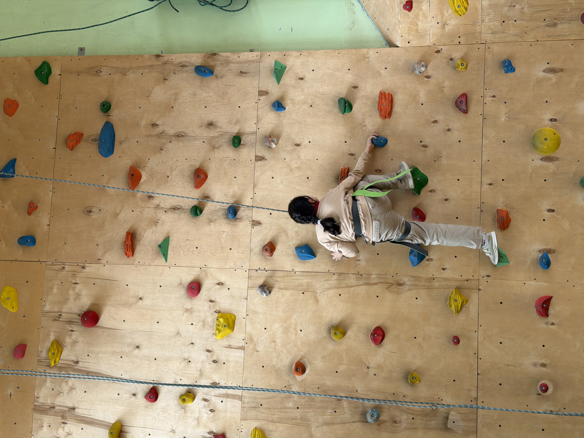 An overhead shot captures a young child actively engaged in rock climbing an indoor wall in Izhevsk, Russia. The child, viewed from behind, is wearing a light-colored long-sleeved top, light pants, and a climbing harness featuring a bright green safety strap. Their dark hair is neatly styled in a braid. They are in mid-movement, with their right hand gripping a blue climbing hold and their left foot firmly placed on a green hold, demonstrating concentration and physical effort.
The climbing wall itself is constructed from large, light-toned plywood panels, which are densely populated with a variety of colorful climbing holds in diverse shapes and sizes, including shades of red, orange, yellow, green, and blue. A climbing rope is visible running horizontally across the lower portion of the image, and another at the top, indicating the presence of safety equipment. Above the climbing wall, a section of a light green painted wall is visible. The scene suggests a dedicated indoor climbing facility or gymnasium.