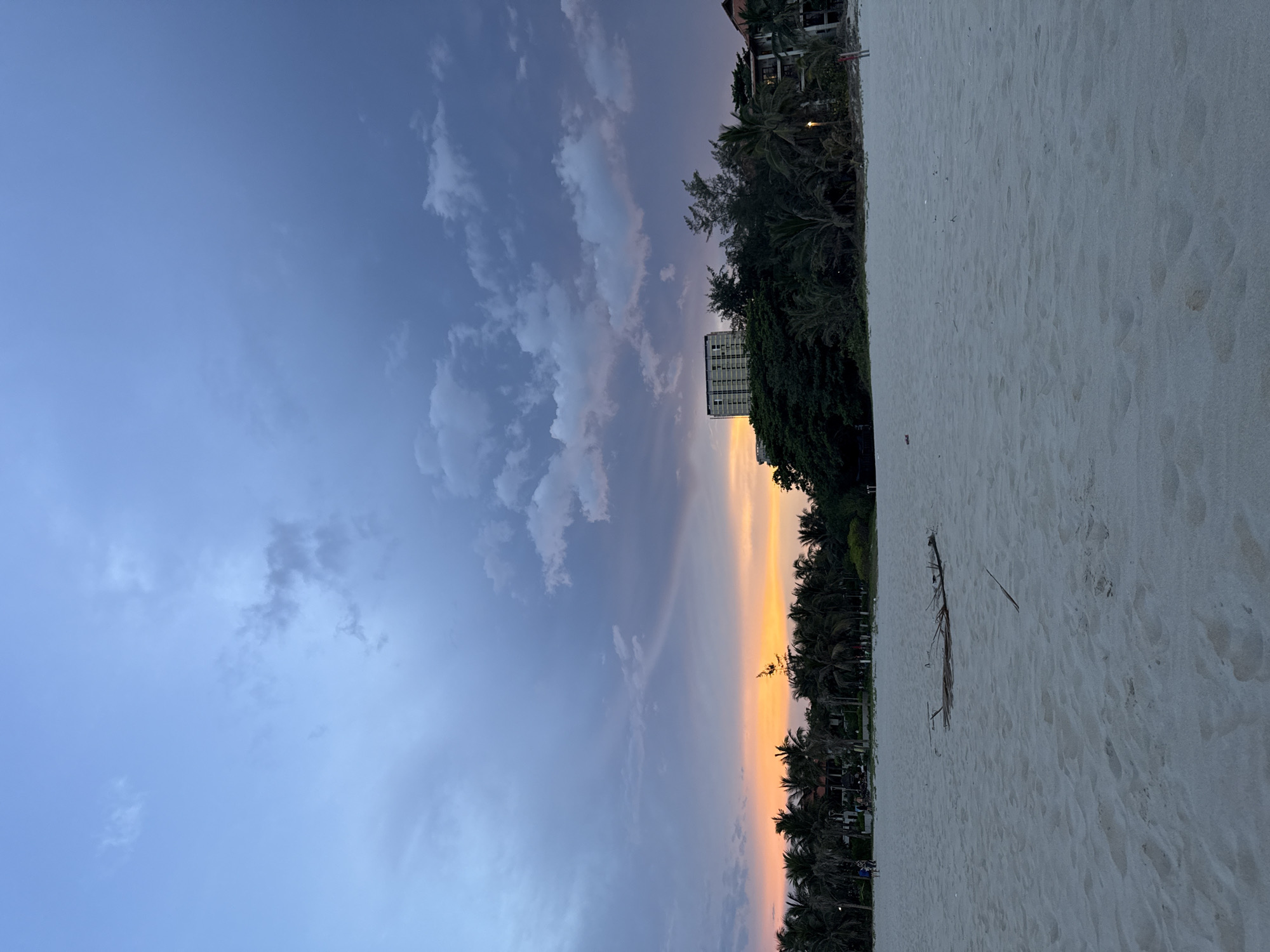 This image depicts a serene coastal landscape at either sunrise or sunset, viewed from a sandy beach. The scene is dominated by a vast sky that displays a striking gradient of colors, transitioning from a soft blue at the top through hues of purple and pink, culminating in a vibrant orange and yellow glow along the horizon line. Wispy, elongated clouds are scattered across the sky, reflecting these twilight colors.
A dense band of tropical vegetation, primarily dark green palm trees and other foliage, stretches horizontally across the middle of the frame, separating the sky from the foreground beach. These trees are largely silhouetted against the bright horizon. Behind the trees, several buildings are visible, including a multi-story structure with balconies, suggestive of a hotel or resort, and another large, rectangular building further in the distance.
The bottom third of the image features a wide, light-colored sandy beach. The sand shows numerous footprints, indicating recent human activity, although no people are explicitly visible. Scattered pieces of natural debris, such as twigs and leaves, are present on the sand. The overall atmosphere is tranquil and picturesque, typical of a resort area like Đà Nẵng, Vietnam, during the "golden hour." There is no visible text in the image.