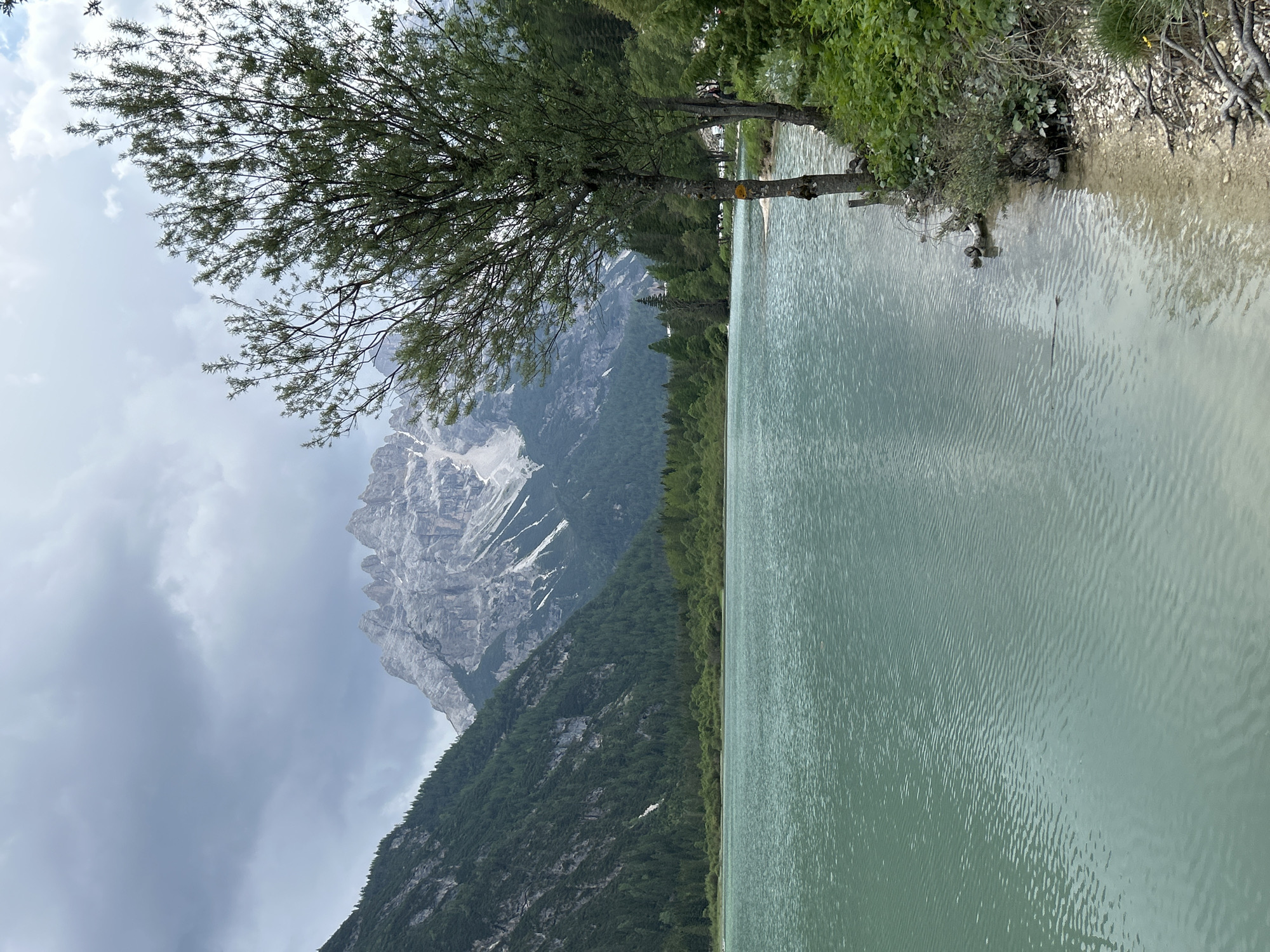 A serene lake with turquoise water is framed by lush green mountains and a rocky shoreline with trees. The sky is overcast with dramatic clouds, and the jagged peaks of a snow-capped mountain range dominate the background. The water's surface is rippled, suggesting a gentle breeze. On the right side of the image, a few trees grow along the shore, their branches reaching out over the water. A narrow path is visible in the distance, with a few indistinct figures walking along it. The overall impression is one of natural beauty and tranquility, with the imposing mountains providing a sense of grandeur.