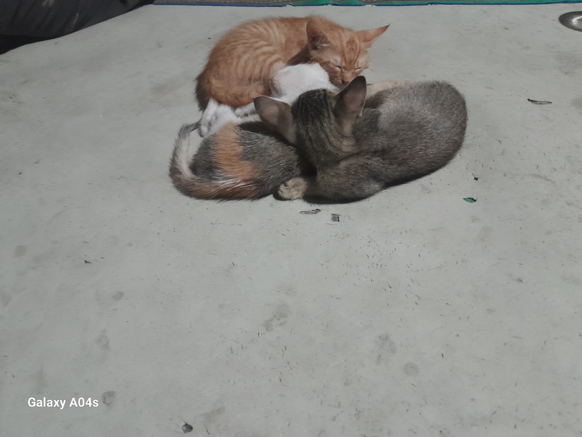 Three kittens are sleeping together on a grey, concrete floor. The kitten in the front is grey and brown tabby. The kitten behind it is an orange tabby. In the middle is a small white kitten. The environment appears to be indoors, with a dark, indistinct object in the background. The lighting is dim. A watermark reading "Galaxy A04s" is visible in the bottom left corner.