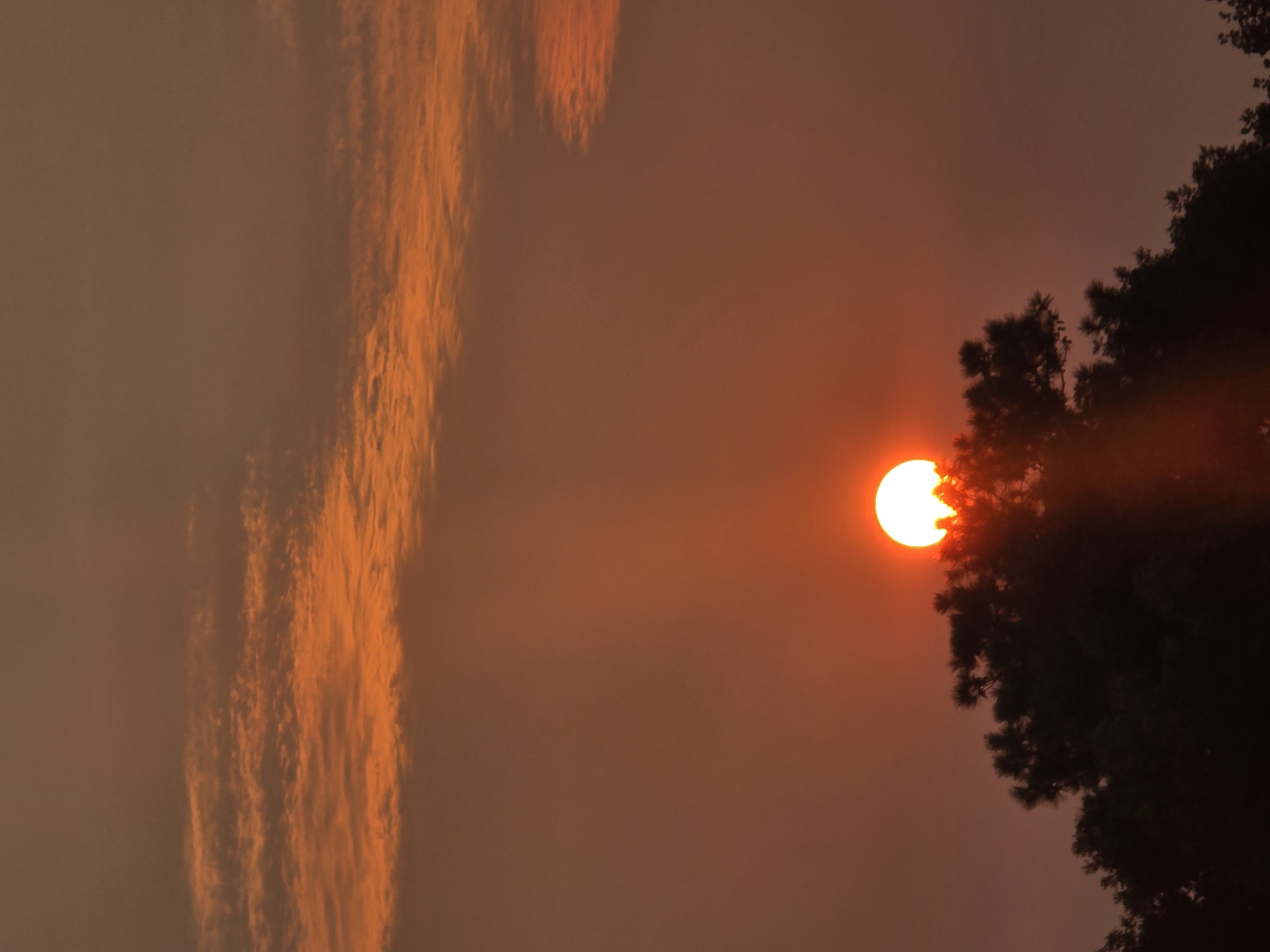 The image captures a sunset over Roswell, New Mexico, United States of America. The sun, a bright orange orb, is partially obscured by the dark silhouette of a tree line in the foreground. Wispy clouds in shades of orange and gray streak across the sky, indicating the fading light of day. The overall atmosphere is warm and serene, characteristic of a desert sunset. There are no people or specific landmarks visible in the image, focusing solely on the natural phenomenon.