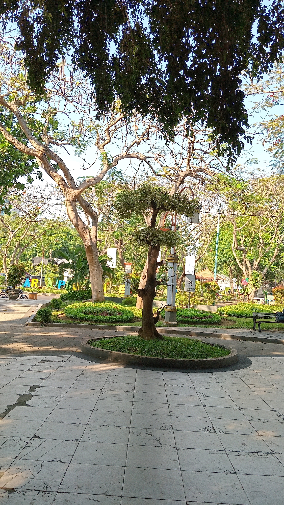 The image shows a public park in Randuagung, Indonesia, with several large trees and a well-maintained garden area. In the foreground, a paved walkway with a tiled surface is visible, showing some cracks and wear. To the left, a street curves around the park, with a few parked vehicles. In the center of the park, a circular raised garden bed with lush green grass is adorned by a sculpted tree. Beyond this, a larger, older tree with bare branches stands prominently. Further into the park, various decorative elements and seating areas are discernible, including benches and what appear to be stylized signage with letters. The background is filled with more trees, some with dense foliage and others with sparser branches, creating a layered effect. The sky is clear and blue, suggesting a bright, sunny day. The overall scene depicts a tranquil urban green space.