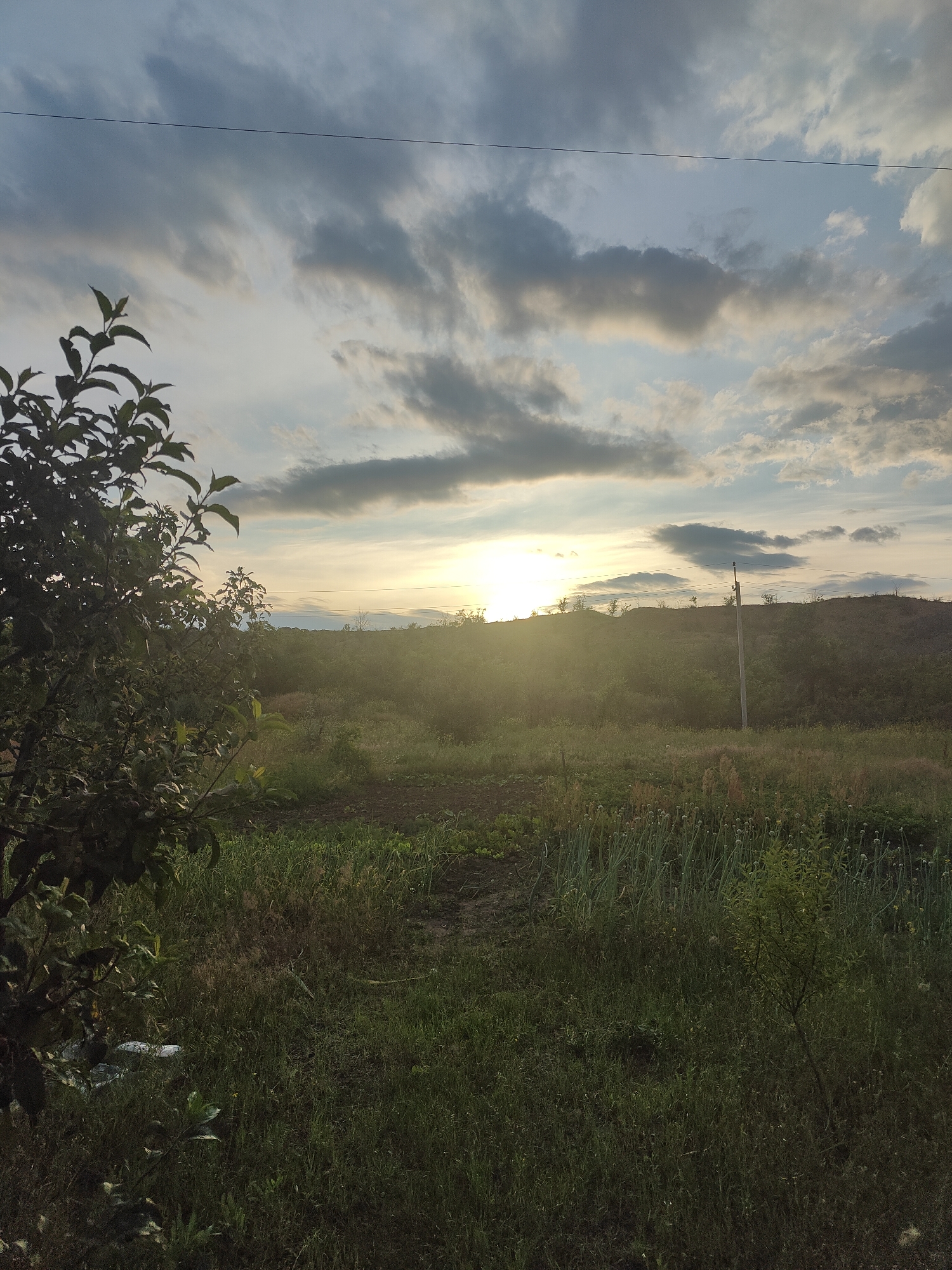 The image depicts a rural landscape under a cloudy sky, with the sun setting or rising and casting a warm glow. In the foreground, on the left, there is a dark green tree with lush foliage. The middle ground features a field with various plants, including tall green stalks that appear to be onions or similar vegetables, and shorter grass. A dirt path or plowed area is visible in the left-center of the frame. In the background, a gentle hill covered in vegetation rises, with a single utility pole positioned on its slope. The sky is filled with dynamic clouds, ranging from dark grey to lighter shades of blue and white, with rays of sunlight breaking through. The scene is calm and natural, suggesting an outdoor setting in a Ukrainian countryside, possibly on the outskirts of Kryvyi Rih.
