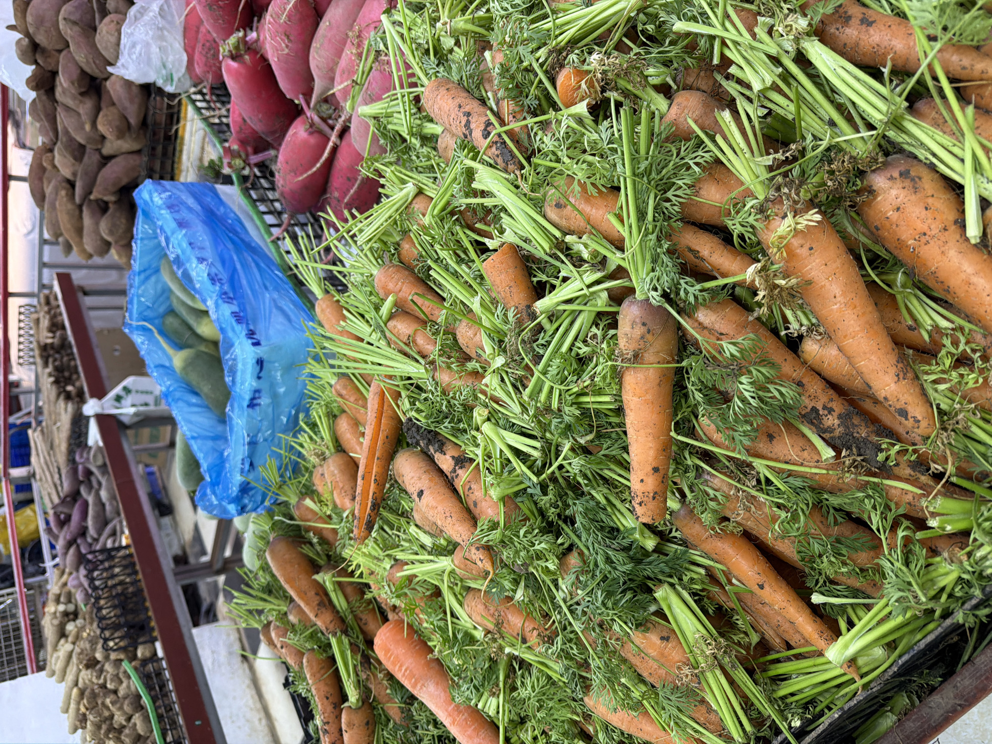This media file captures a vibrant close-up of a fresh produce display, likely at a market stall in Jiangning District, China. The primary subject is a large, overflowing pile of freshly harvested carrots, many still bearing clumps of soil and their vivid green leafy tops. These carrots are a prominent orange hue and appear to be displayed in a crate or basket.
Adjacent to the carrots, to the left in the frame, are bunches of bright red radishes, also appearing fresh. Further to the left and slightly behind, a substantial quantity of brownish, irregular-shaped root vegetables, possibly sweet potatoes or yams, are visible, hanging in a net-like display. A translucent blue plastic bag, partially obscuring other items, contains several green, elongated vegetables, resembling gourds or a type of squash. In the far background and to the left, other produce and market structures can be faintly seen, including what looks like dried ingredients or other root vegetables in various arrangements.
The overall scene suggests an active marketplace focused on fresh, natural produce. No people are visible in the image. The carrots' green tops are lush, indicating their recent harvest and freshness. Some faint, unreadable text is visible on the blue plastic bag. The image's orientation is vertical.