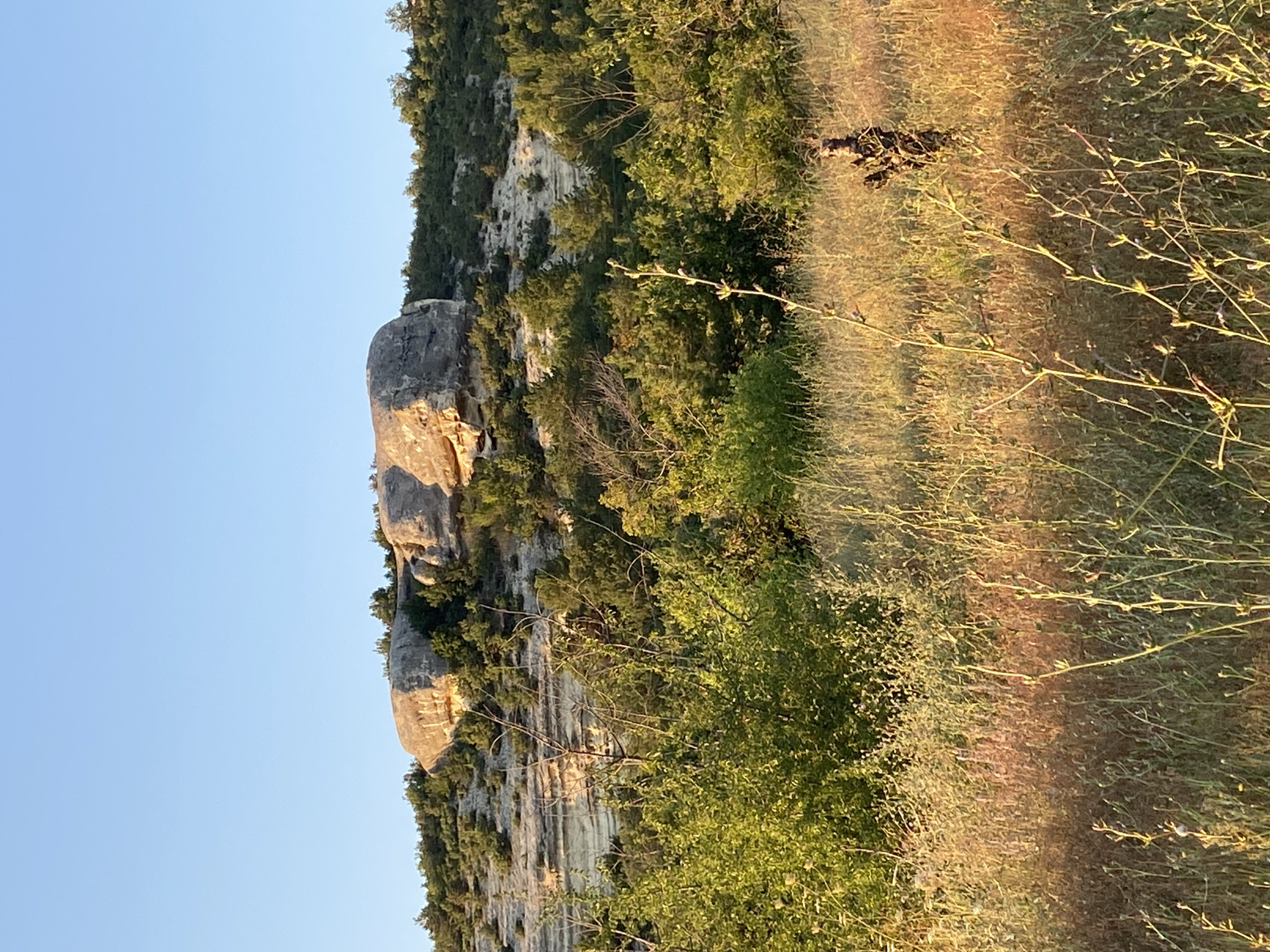 A person wearing camouflage stands in a grassy field. In the background, a rocky hill is covered with trees. The sky is clear and blue. The scene appears to be set in a rural area with natural landscape features.