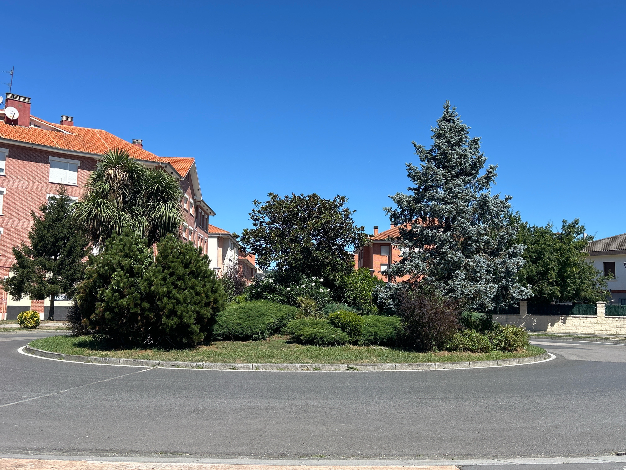 The image shows a roundabout in Derio, Spain, on a clear, sunny day. The roundabout is paved with asphalt and has a concrete curb. In the center of the roundabout, there is a garden with various plants, including trees, bushes, and grass. A large, blue spruce tree stands prominently on the right side of the roundabout. In the background, there are several brick buildings with orange tile roofs, characteristic of Spanish architecture. The sky is a bright, cloudless blue. There are no people or vehicles visible in the image. The overall scene depicts a typical urban streetscape in a Spanish town.