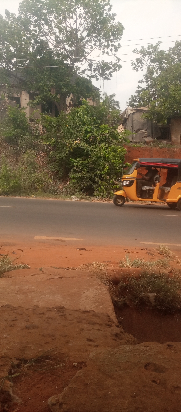 This image depicts a daytime street scene in Ogidi, Nigeria, under an overcast sky. In the foreground, reddish-brown earth and cracked, uneven concrete or hardened ground are visible, interspersed with patches of sparse green grass and small plants. A shallow, eroded ditch is present on the far right. The midground features a dark asphalt road with a faint white line marking on its right edge. A yellow three-wheeled auto-rickshaw, equipped with a dark canopy, is in motion, traveling from right to left across the road. A single individual in dark attire is discernible in the driver's seat. The background consists of dense green vegetation, including large trees with visible branches and smaller bushes, lining the elevated terrain behind the road. Partially obscured by trees on the left side of the background is a multi-story, dilapidated building with a light-colored, weathered facade and a dark roof. Further to the right, behind additional foliage, a smaller, simpler structure with a dark, possibly tarp-covered roof is present. Multiple thin, dark utility lines are strung horizontally across the upper portion of the scene, passing through the tree canopy.