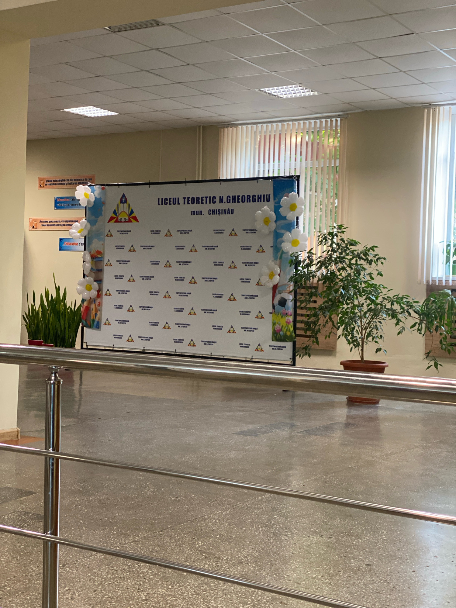 The image shows the entrance area of a school in Chișinău, Moldova. A banner with the text "LICEUL TEORETIC N. GHEORGHIU mun. CHIȘINĂU" is prominently displayed. The banner is decorated with balloon flowers. To the left of the banner, there are several motivational posters in different languages. A potted ficus tree and another smaller potted plant are situated to the right of the banner. The floor appears to be a polished concrete or terrazzo surface. A metal railing is visible in the foreground, suggesting this is a hallway or a public space within the school. Natural light filters in from windows with vertical blinds in the background.