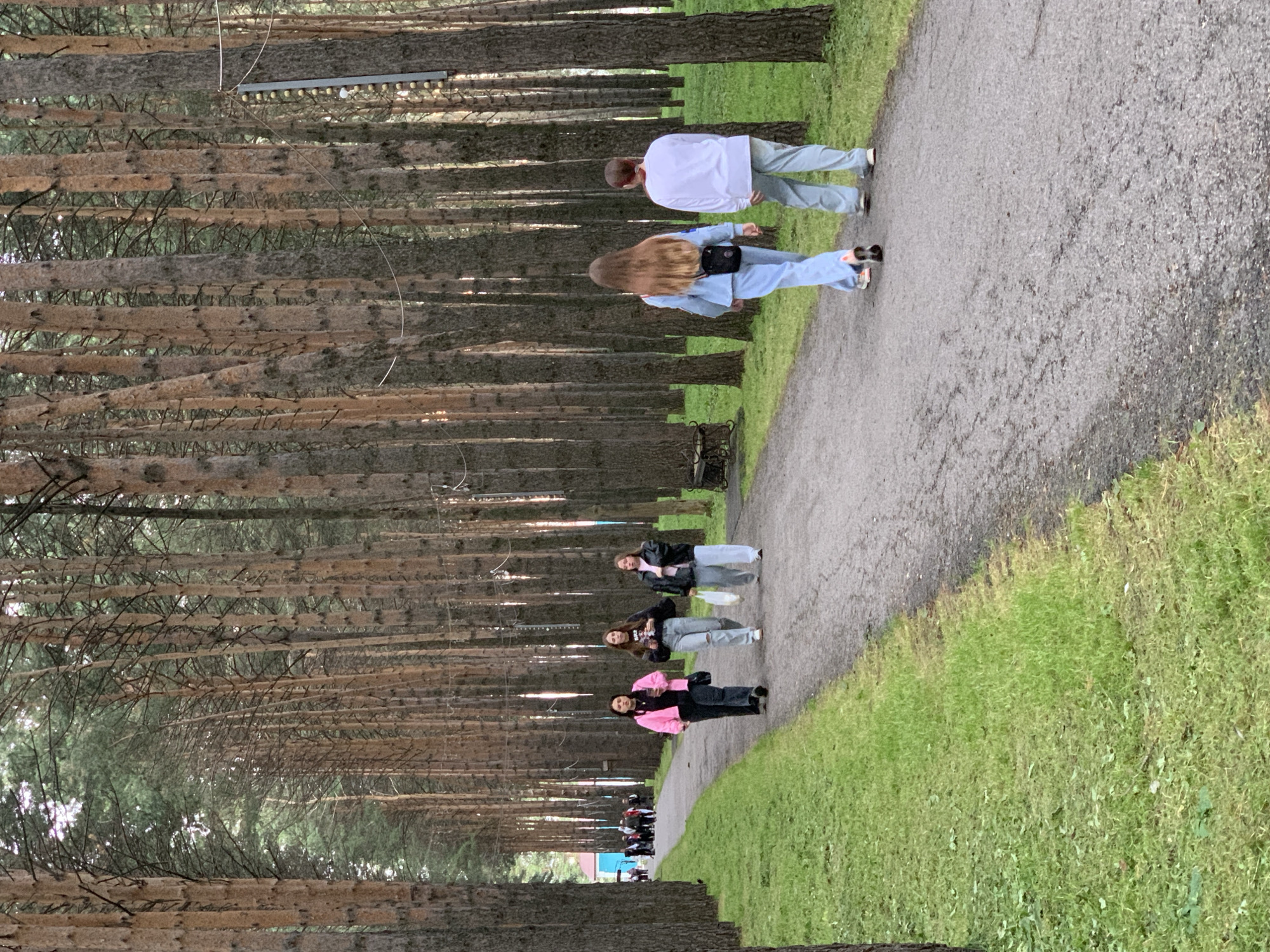 This image depicts a treelined path in a park, likely located in Prokopyevsk, Russia, given the context. The path is paved and lined with tall, mature pine trees on both sides, creating a natural tunnel effect. Green grass grows along the edges of the path.

In the foreground, two individuals, a male and a female, are walking away from the camera on the right side of the path. The female has long, light brown hair and is wearing a light blue tracksuit with a black crossbody bag. The male is wearing a white long-sleeved shirt and light blue pants.

Further down the path, closer to the center of the image and on the left side, three young females are walking towards the camera. The one closest to the viewer is wearing a pink jacket and dark pants. The middle person is wearing a black sweatshirt with a graphic print and ripped light blue jeans, carrying a white plastic bag. The third person is wearing a black leather jacket and light blue pants.

In the distance, more people are visible on the left side of the path, near a building with a blue roof. The overall atmosphere suggests a casual day outdoors in a scenic park.