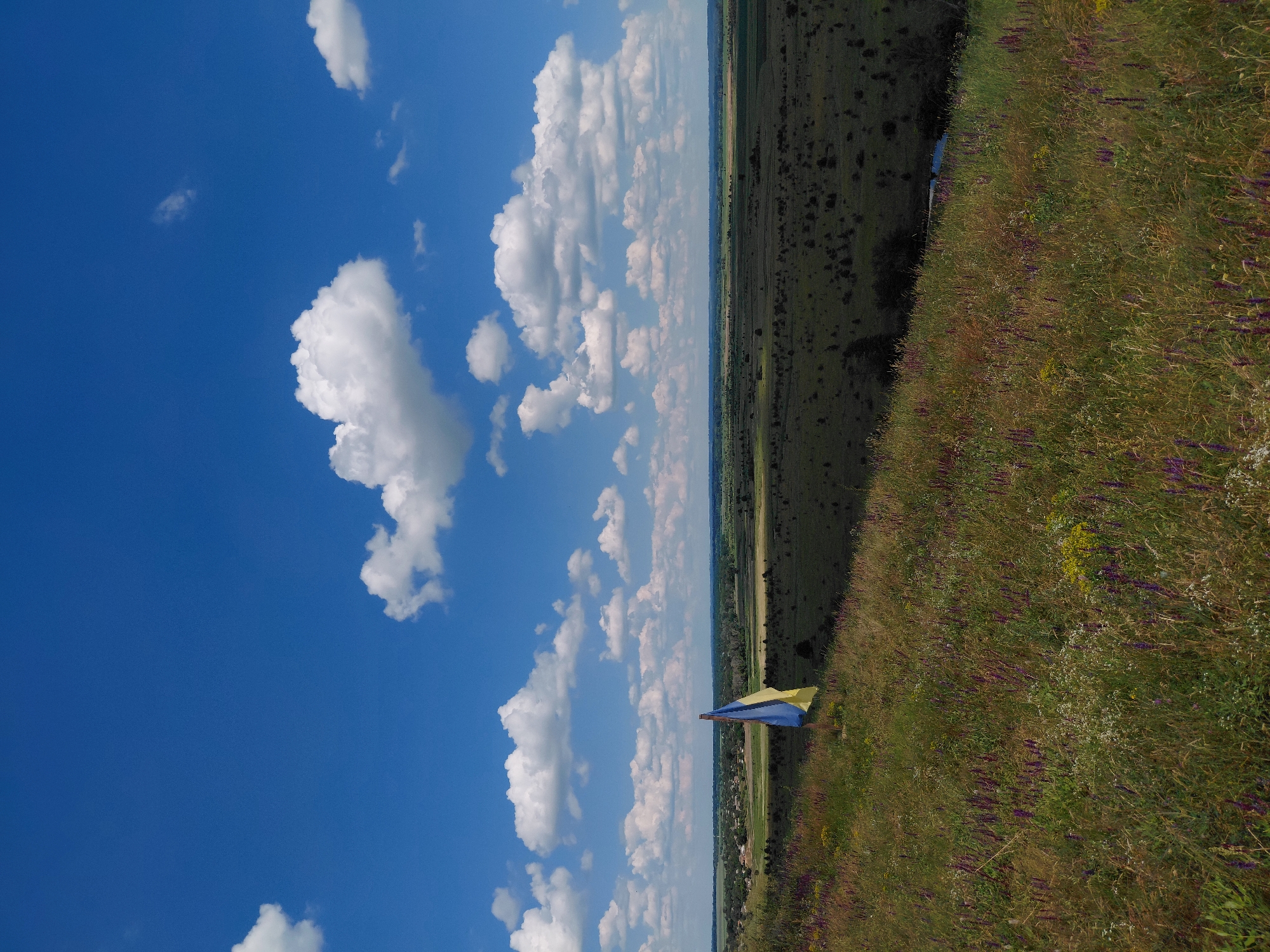 The image captures a wide, panoramic view of a rural landscape under a bright blue sky dotted with fluffy white clouds. The scene is oriented vertically, suggesting it might be a still from a drone or aerial footage.
In the foreground, a grassy slope is covered in various wildflowers, predominantly purple and yellow, adding patches of vibrant color to the green. A portion of a blue and yellow flag, possibly the Ukrainian flag given the location context, is visible on a pole planted in the grassy area, extending outwards.
Beyond the slope, the landscape stretches out to the horizon. It appears to be a patchwork of fields and greenery, with some darker, wooded areas interspersed. A hint of a village or settlement can be seen in the distance, with small structures visible. The overall impression is one of a clear, sunny day in a tranquil, natural setting. The vast sky and expansive landscape evoke a sense of freedom and openness. No people are visible, and no text is present in the image.