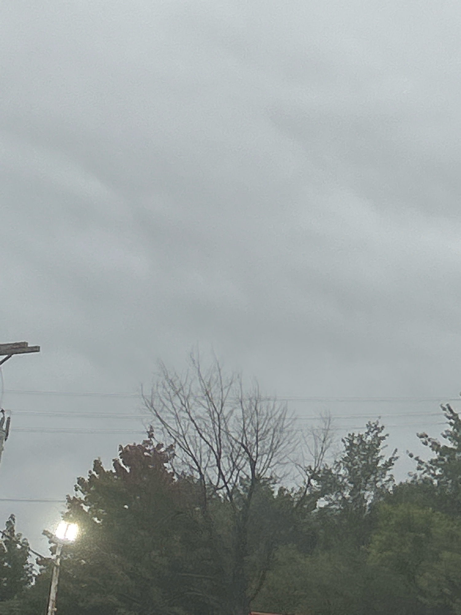 An overcast sky looms above a residential area in Carnegie, United States of America. A street lamp, illuminated and casting a bright glow, stands to the left, bordered by the dark green foliage of trees. Power lines stretch horizontally across the frame, supported by a utility pole. In the foreground, a bare-branched tree with delicate, skeletal limbs stands starkly against the cloudy backdrop, its silhouette appearing almost translucent. To its right, denser trees with more leaves are visible, some exhibiting hints of autumnal color. The overall scene conveys a sense of quiet, possibly early morning or late evening in a suburban setting.
