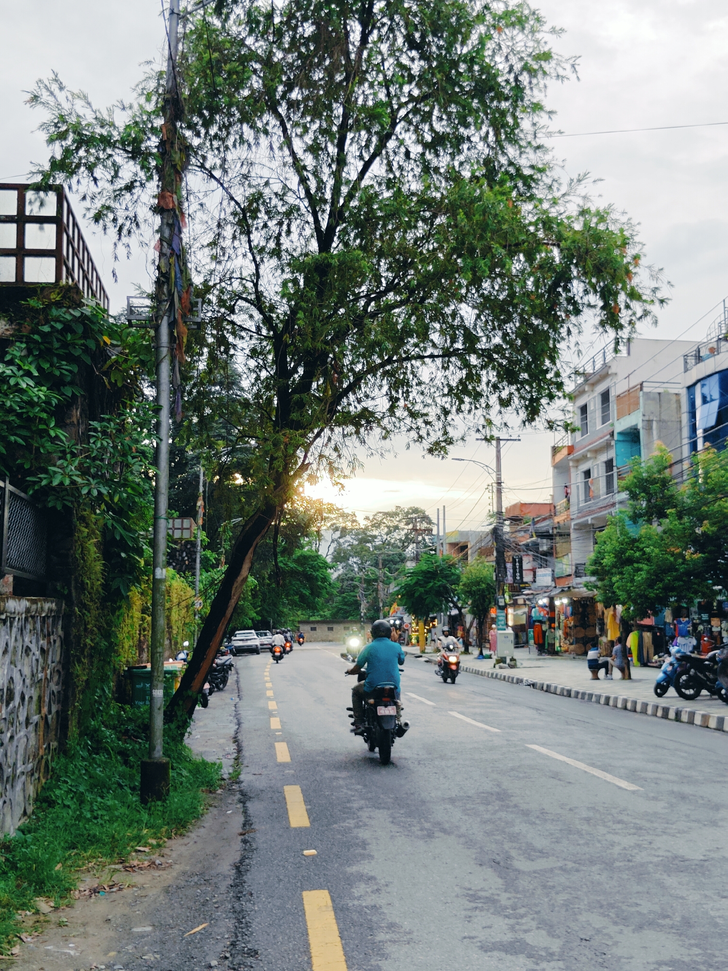 The image depicts a street scene in Pokhara, Nepal, likely during the late afternoon or early evening given the soft lighting. A person on a motorcycle, wearing a blue shirt, is traveling away from the camera on the right side of the road. To the left of the road, a stone wall is covered in lush green vegetation. A tall utility pole stands next to the wall, adorned with colorful prayer flags. Trees with dense green foliage line the street, with one notably leaning over the roadway. Buildings with multiple stories and balconies are visible on the right side of the street, featuring a mix of architectural styles and colors, including white, grey, orange, and blue. Shops with displays of clothing and goods are open along the sidewalk, and other motorcycles and a few cars are present on the road. The sky is overcast with hints of the setting sun.