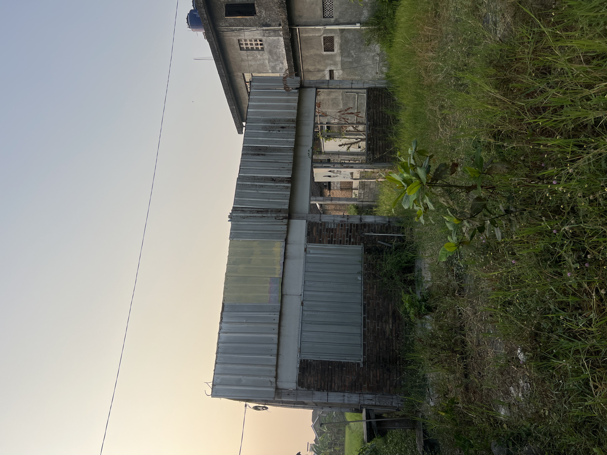 The image shows an abandoned building under construction in Tlogoadi, Indonesia, during what appears to be sunset. The building is primarily constructed of brick with a corrugated metal roof and siding. There are openings where windows and doors would be, some covered with metal sheets. Vegetation, including tall grass and small trees, grows around the structure, indicating neglect. To the right of the unfinished building is a more complete, multi-story concrete structure, also appearing weathered. The sky is clear and light, fading from a pale yellow near the horizon to blue. A power line stretches across the upper part of the image. There are no people visible in the scene.
