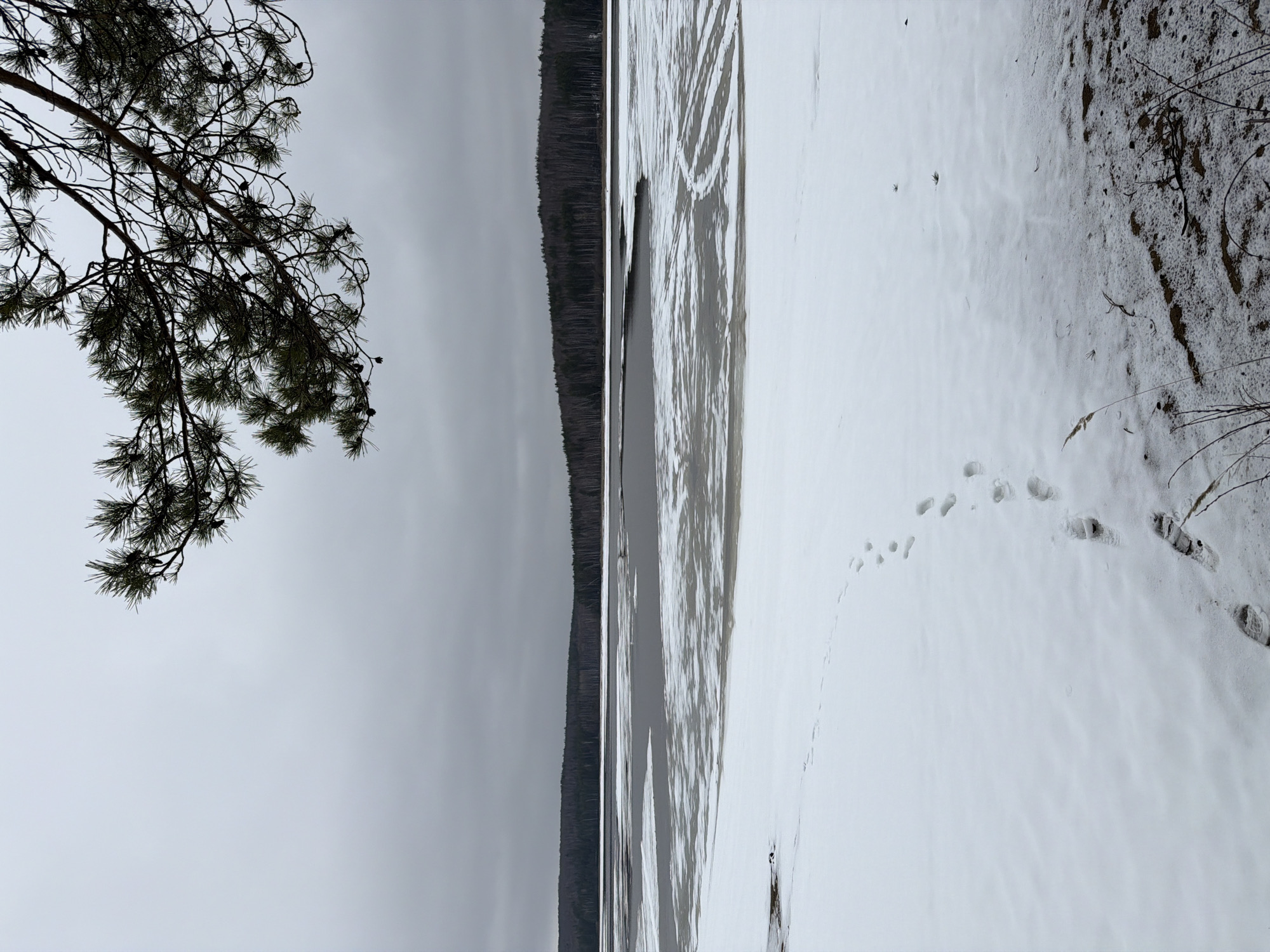 The image captures a winter landscape, likely on the shores of the Kama Reservoir in Chaykovsky, Russia. A snow-covered area, possibly a frozen lake or riverbank, dominates the foreground, marked with footprints. A dark line of trees is visible on the opposite side of the water. A bare tree branch hangs from the upper left corner. The sky is overcast.