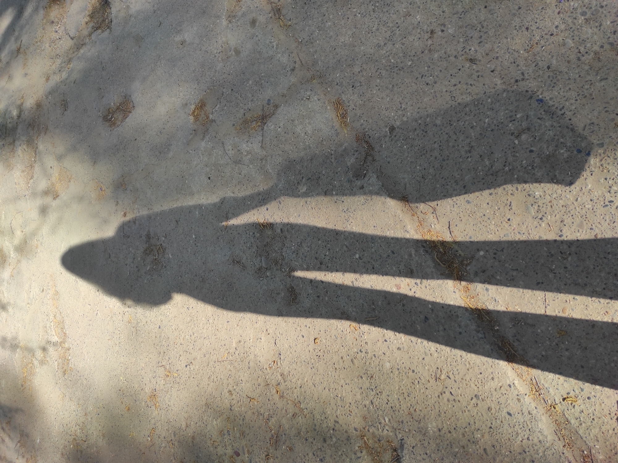 The image shows a concrete surface with scattered debris. A shadow of a person is visible in the lower part of the image. The location is Chaikovsky, Russia.