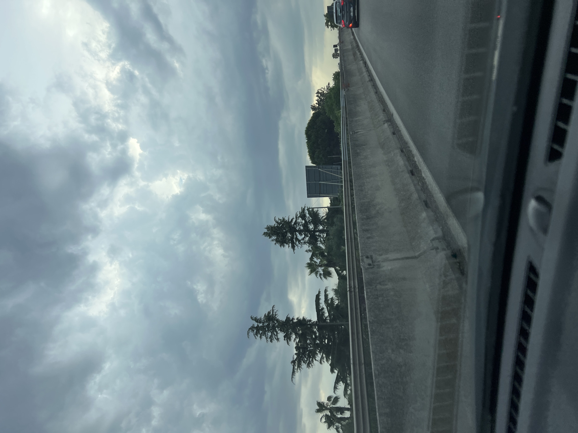 The image captures a view from a vehicle traveling on a highway. A concrete barrier separates lanes of traffic, with a dark-colored car visible ahead on the right. The sky is overcast with dramatic, cloudy formations. To the left of the highway, a line of trees and palm trees are visible, with a large, dark billboard-like structure positioned between them. The foreground shows the interior of the vehicle, including the dashboard. The scene is devoid of any specific urban elements that would pinpoint it to Bisceglie, Italy, other than the context provided.