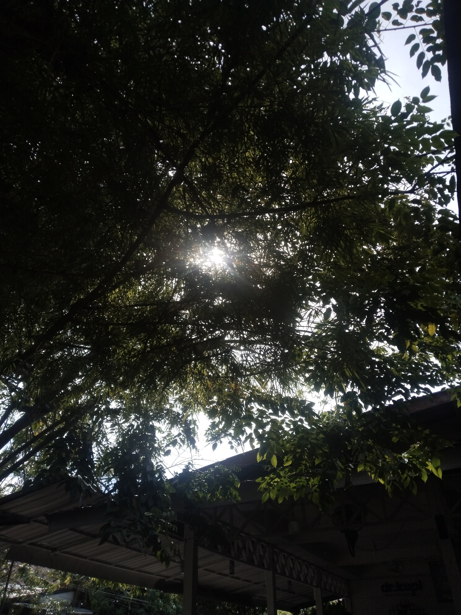 The image depicts a scene in Lhokseumawe, Indonesia, characterized by a dense canopy of trees filtering sunlight. The sun's rays are visible through the foliage, creating a dappled light effect. Below the trees, a structure with a corrugated metal roof and supporting beams is partially visible. The structure appears to be an open-air building or shelter. The lighting is somewhat dim, suggesting the time of day or a heavily shaded area. The vegetation consists of a mix of leaves and branches.