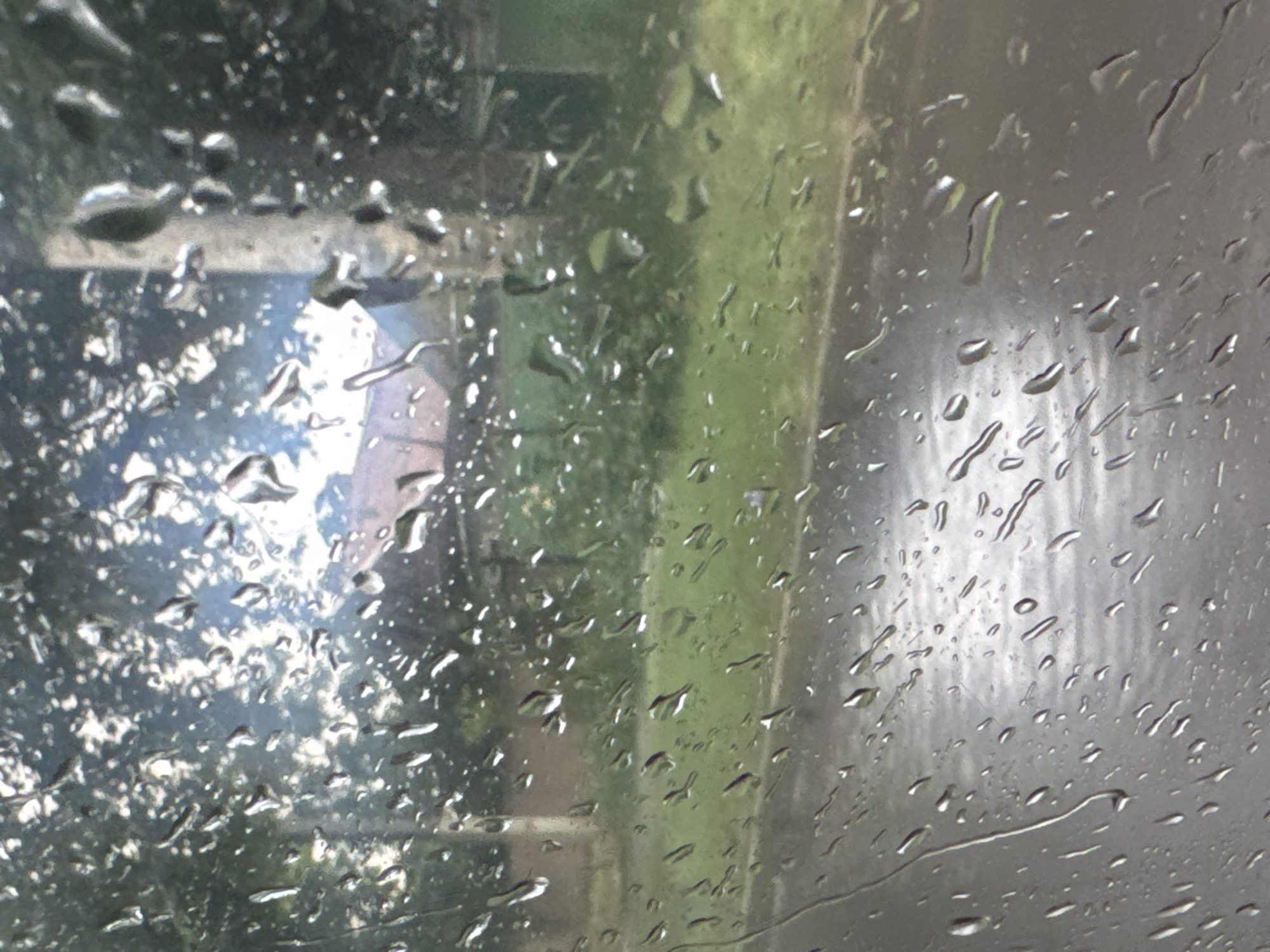The image shows a view through a window with raindrops. The background is blurred and appears to be an outdoor scene with greenery, a road, and structures. The scene suggests a natural environment or a residential area. There are no discernible people, specific actions, or interactions visible. The lighting indicates it might be daytime, possibly overcast due to the rain. There is no information within the image to identify the location as Tiraspol, Moldova.