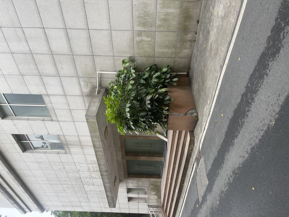 The image captures a side view of a building facade with a bush growing in a planter on the upper level. The building, located in Guangzhou Shi, China (latitude: 23.188, longitude: 113.329), has tiled walls and two windows. The lower level of the building has a set of stairs leading up to a doorway, which is covered by two glass doors. The image is taken from a low angle, looking up towards the building. The ground below the building is made of grey asphalt, which appears to be wet. The scene is empty of people.