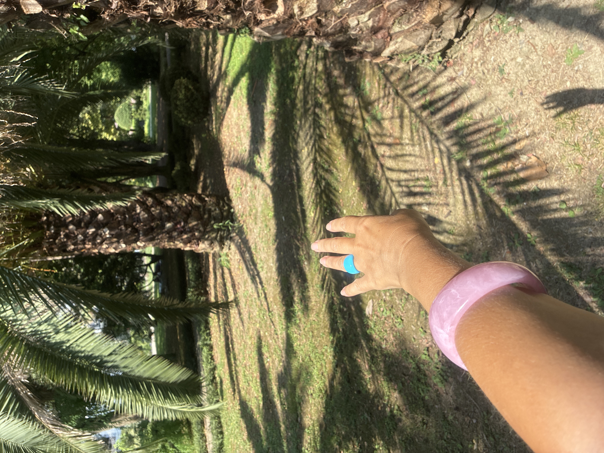 The image depicts a person's arm and hand in the foreground, adorned with a pink bangle and a blue ring. The arm is positioned to the left, extending into the frame, while the hand is open and reaching towards the right. The background reveals a park-like setting with palm trees and lush greenery, bathed in sunlight that casts long shadows on the ground. The scene appears to be a recreational area, possibly a botanical garden or a public park. Given the presence of palm trees, it is plausible that this location is within the city of Sochi, Russia, known for its subtropical climate and numerous palm-lined avenues. The overall atmosphere is serene and evokes a sense of warmth and outdoor leisure.