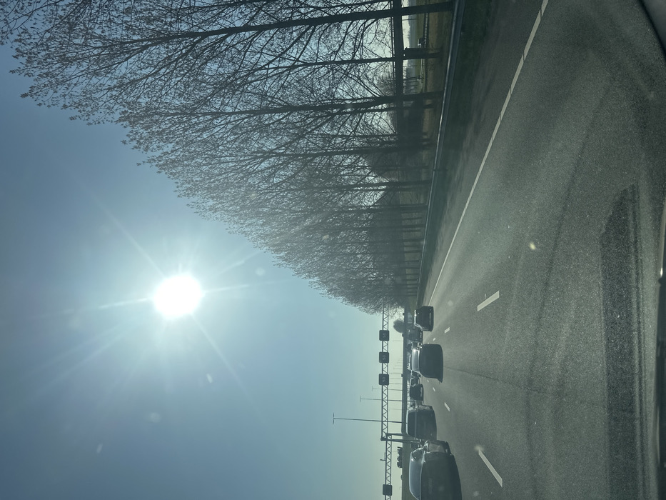 The image displays a multi-lane asphalt highway in Nieuw-Vennep, Netherlands, under a clear, bright blue sky. The perspective is from within a vehicle, looking forward through a windshield that shows a reflection of the dashboard in the lower foreground.
The highway consists of at least four lanes, with two lanes in the immediate foreground displaying white dashed and solid lane markings. Approximately eight to ten dark-colored passenger vehicles are visible ahead, traveling in the same direction. A dark SUV, possibly a Tesla Model X, is prominent in the far-left lane in the mid-ground.
To the right of the highway, a linear formation of numerous deciduous trees, mostly bare, runs parallel to the road, separated by a metal crash barrier. Beyond the trees, a flat, open landscape is visible, with an elevated concrete structure, possibly a bridge or overpass, in the distant background.
To the left of the highway, the landscape is flat and open, featuring utility poles. Multiple metallic gantries span the highway; one prominent gantry in the mid-ground on the left side displays digital speed limit signs, one of which clearly indicates "80."
The sun is intensely bright and positioned in the upper-left quadrant of the sky, emitting a pronounced starburst effect and causing lens flare and glare across the image. The scene suggests a daytime setting with clear weather conditions.