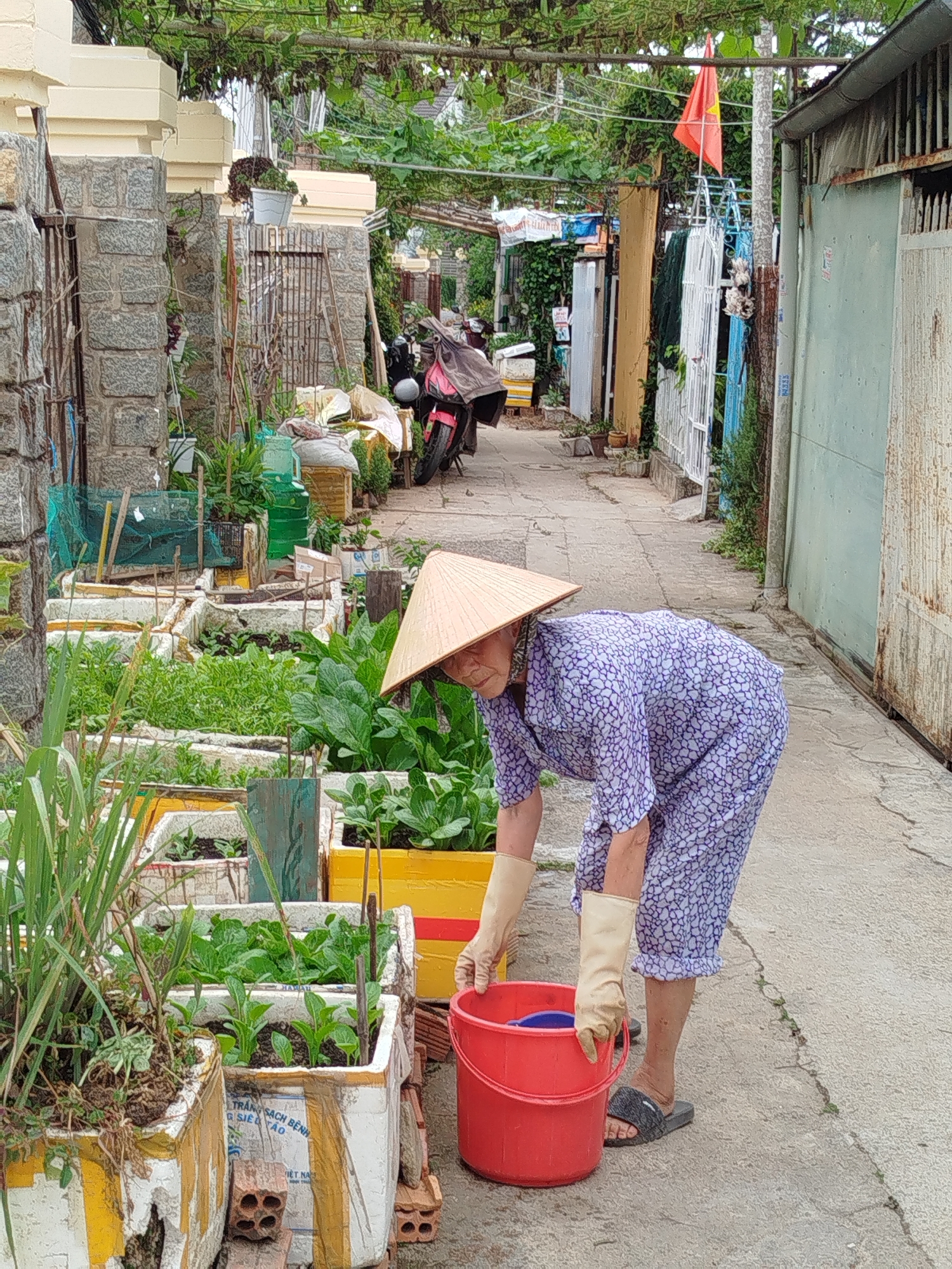 An elderly Vietnamese woman wearing a traditional conical hat, a blue and white floral print outfit, and beige gloves bends over a bright red bucket on a paved path, possibly retrieving water. She wears gray flip-flops. To her left, a series of elevated garden beds of various colors contain vegetables and other plants. The gardens are constructed from what appears to be recycled foam containers. Behind the woman, the path extends into the distance, flanked by buildings and fences. A Vietnamese flag flies in the background. A motorcycle is parked further down the path. The scene suggests a residential area in a neighborhood, with a focus on small-scale urban agriculture in Da Lat, Vietnam.