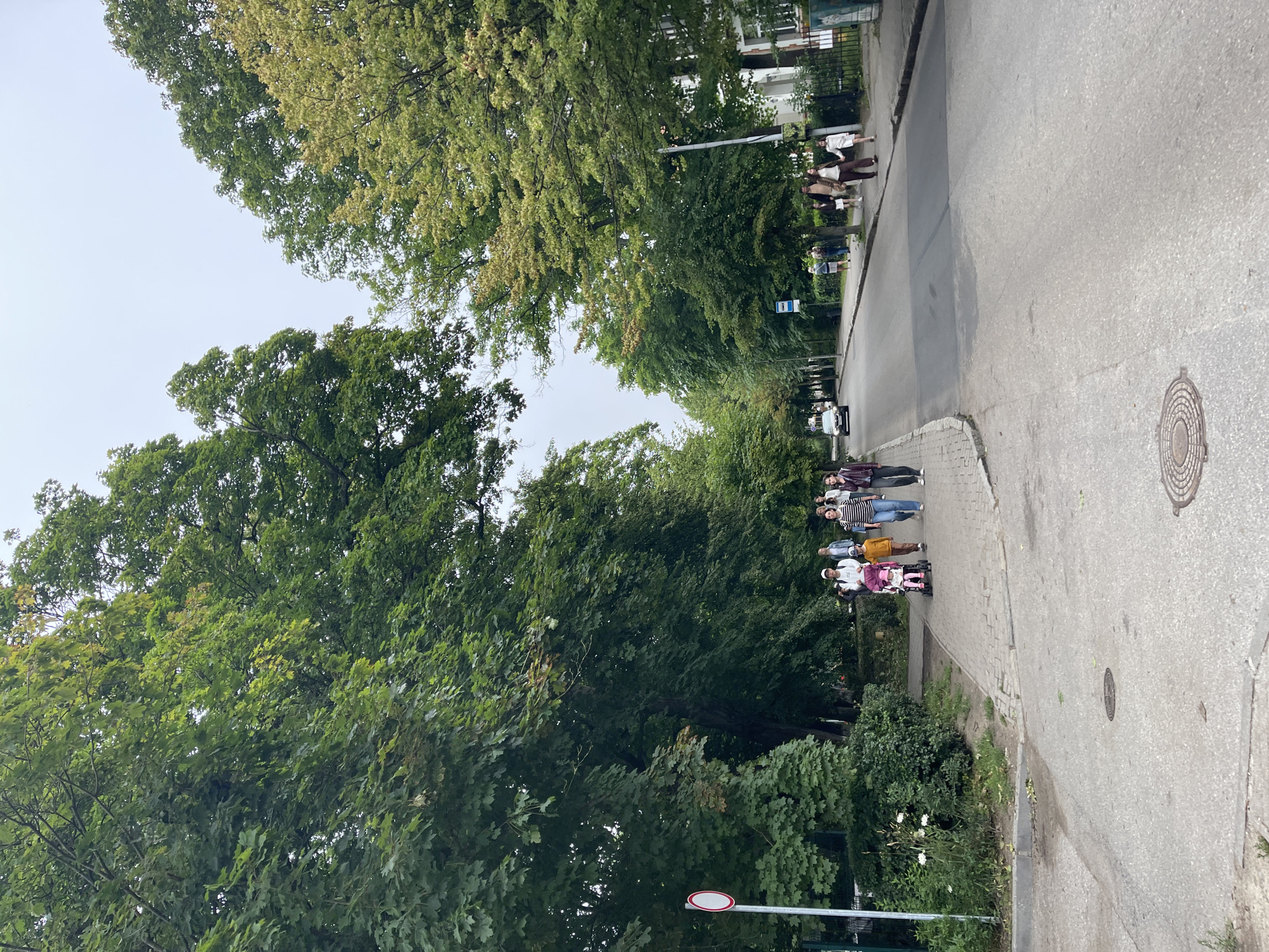 The image depicts a street scene in Zelenogradsk, Russia. A paved road runs through the center of the frame, flanked by sidewalks and lined with mature trees on both sides, creating a canopy over the street. On the left side of the road, a paved pedestrian walkway is visible, bordered by a line of bushes and trees. A traffic sign with a red circle and white background is mounted on a pole at the edge of the walkway. Several people are walking on the sidewalk, including a group with a stroller. On the right side of the road, a sidewalk runs alongside a fence and buildings. Cars are visible on the road in the distance. The sky is overcast, suggesting a cloudy day. The overall impression is a quiet, tree-lined residential street.