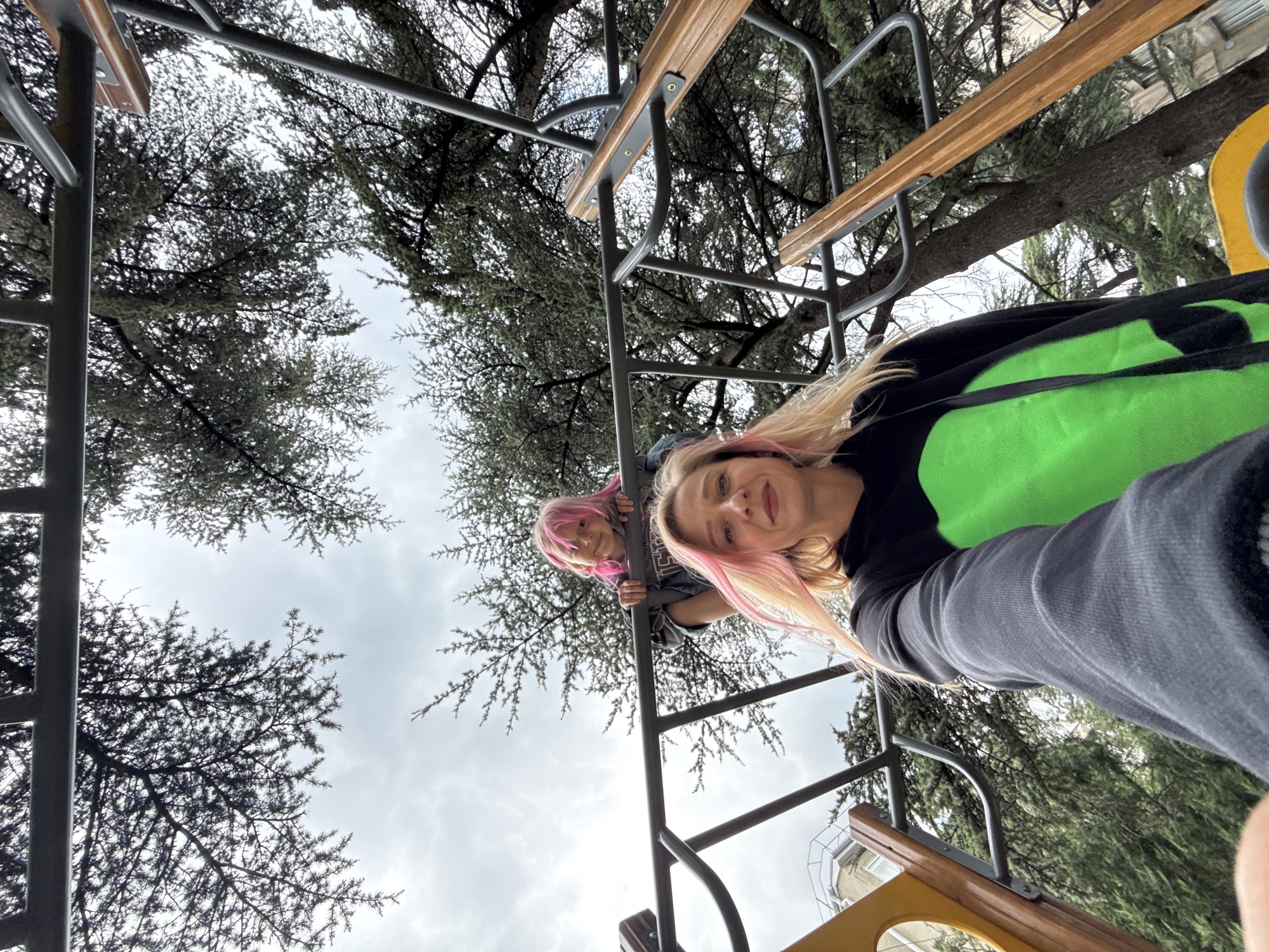 Two females are in an outdoor playground in Unknown, Unknown, with various trees in the background. The female on the right is taking the photo from a low angle, wearing a black shirt with a large green design and gray jeans. She has fair skin and pink hair. The female on the left is holding onto the bars, also with pink hair. The sky is cloudy.