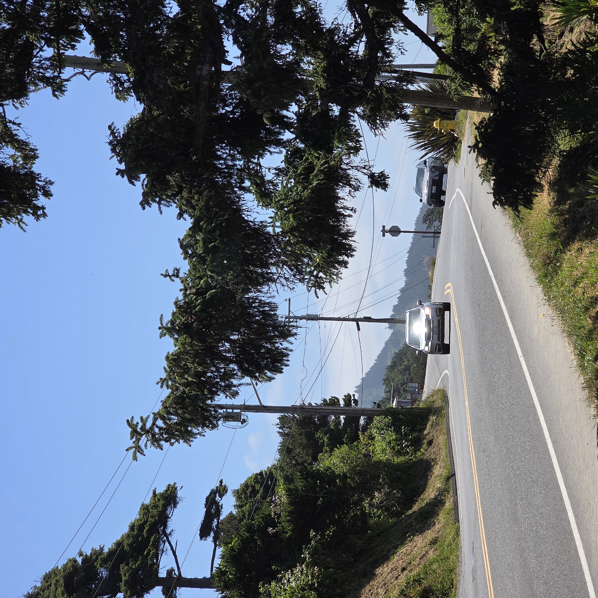 The image captures a sunny day on a winding road in Cannon Beach, Oregon, USA. The road, marked with double yellow lines and a white edge line, curves through a landscape densely populated with evergreen trees. Power lines and utility poles are visible against the clear blue sky, interspersed with the foliage. Two cars are traveling on the road: a silver SUV in the foreground with its headlights reflecting the bright sun, and a dark-colored SUV further ahead. The roadside is lined with grassy slopes and patches of vegetation. In the distance, rolling hills covered in trees suggest a natural, scenic environment. A yellow fire hydrant stands near the roadside to the right, partially obscured by trees.