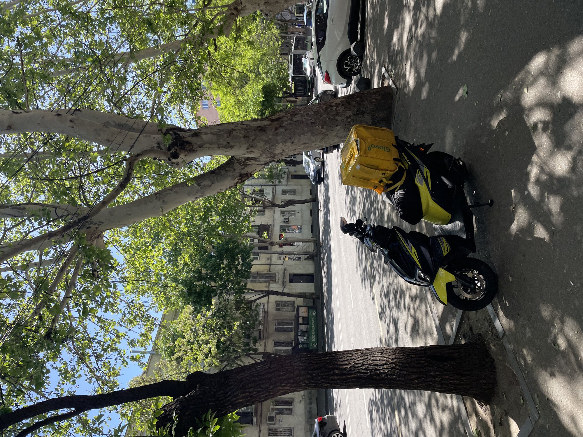 The image shows a street in Tbilisi, Georgia, likely a residential area due to the presence of apartment buildings. A Glovo delivery motorcycle, black and yellow, is parked beside a sidewalk tree. The tree, which appears to be a sycamore or plane tree, partially obscures the view of the buildings across the street. Cars are parked along the opposite side of the street. The light suggests a sunny day.