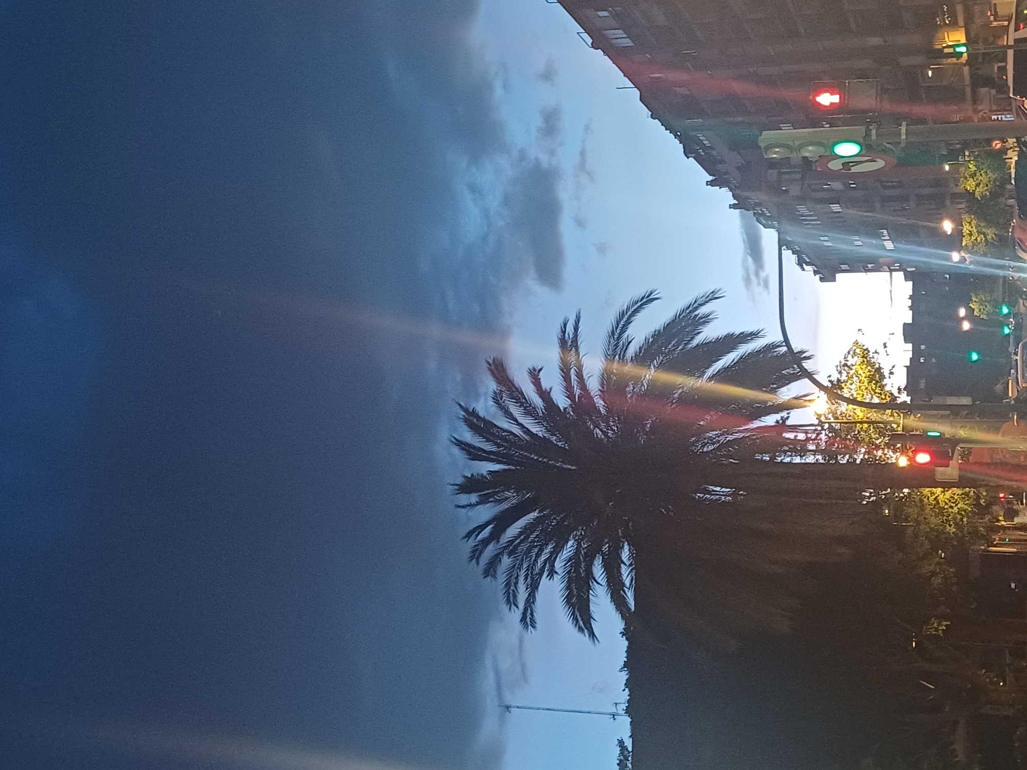 The image shows a street scene in Valencia, Spain, at dusk or night. A large palm tree is prominently featured in the foreground. In the background, buildings line the street, with illuminated traffic lights visible. The sky is a mix of dark blue and cloudy patches.