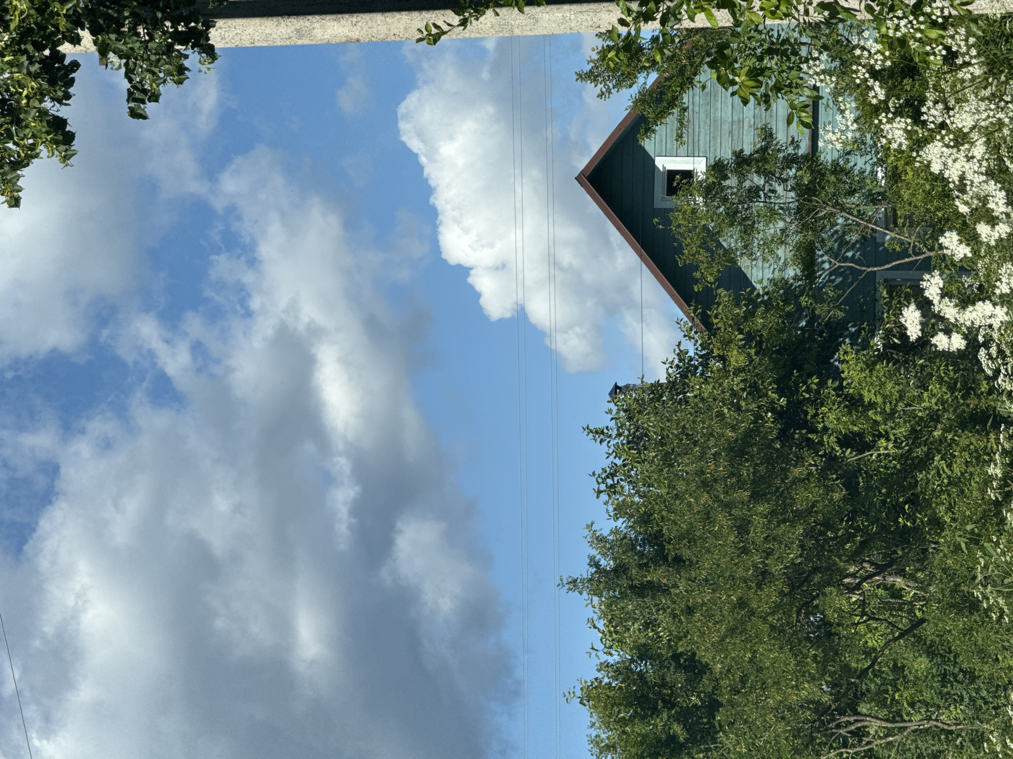 The image depicts a close-up view of a light blue wooden house partially obscured by lush green foliage and white flowering bushes. The house has a brown roof and a single visible white-framed window. Power lines are visible stretching horizontally across the frame above the trees. In the background, a bright blue sky is dotted with fluffy white and gray clouds. A rough concrete utility pole is present on the right side of the image, also partially covered by leaves. The scene appears to be set in a rural or suburban area, possibly in the city of Tatishchevo, Russia, given the architectural style and vegetation. There are no people or animals visible in the frame.