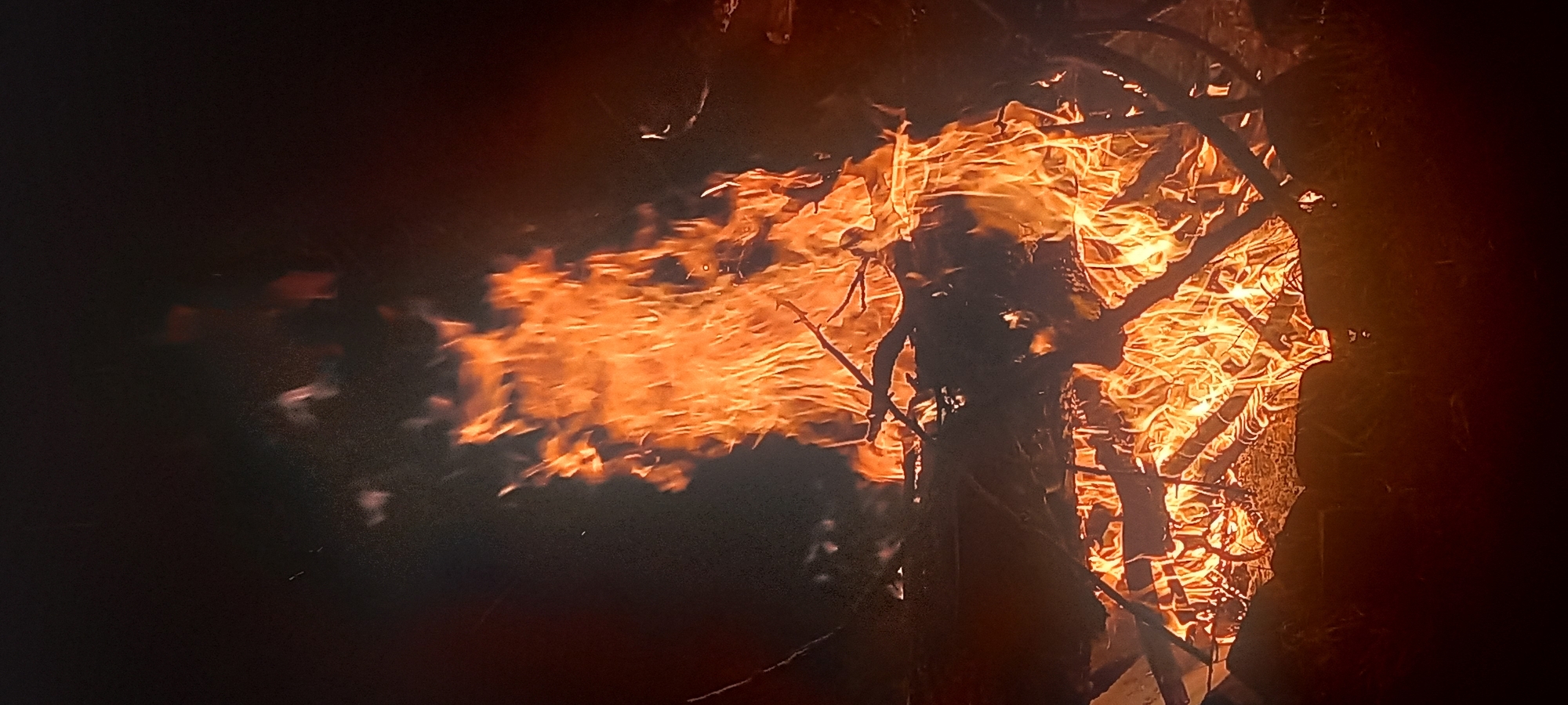The image displays a large, active bonfire under dark conditions, indicative of night. Bright orange and yellow flames constitute the central and lower-middle portions of the vertical frame, rising vigorously from a substantial pile of burning wood and branches. Various pieces of timber, in different stages of combustion, are visible within and beneath the flames, with some branches forming a dark, skeletal structure against the intense heat. The surrounding environment is almost entirely dark, providing no discernible landscape features, structures, or distant objects. Small, luminous embers and faint, warm glows are visible in the dark background immediately surrounding the main body of fire. No individuals, animals, or specific man-made objects are present in the scene. The scene is located in Kryvyi Rih, Ukraine.