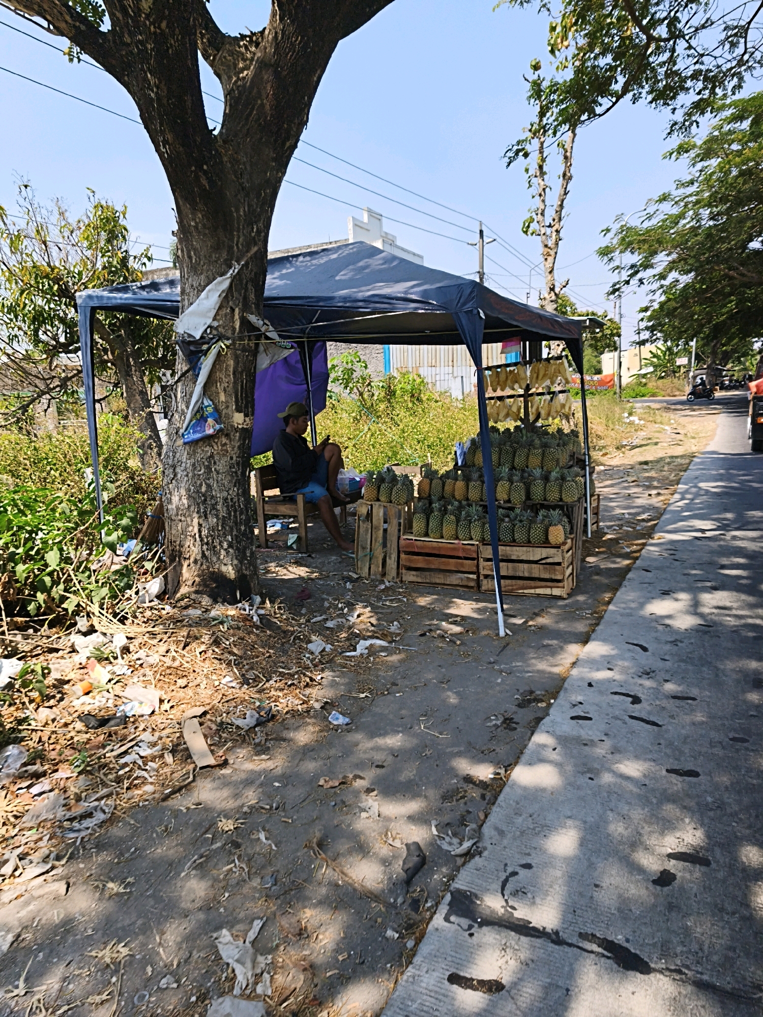 This is a medium-shot, eye-level, outdoor, daytime, natural light photograph taken in Desa Donohudan, Indonesia. A man, wearing a dark shirt, blue shorts, and a hat, is seated on a wooden stool under a dark blue canopy tent. He is looking at his phone. In front of him, there are crates of pineapples stacked in a display. The tent is supported by poles and is set up on a dirt and debris-strewn ground next to a paved road. A large tree trunk is situated to the left of the tent. The background shows greenery, a building, and overhead power lines. The road has some dark patches and shadows cast by trees. A motorcycle is visible in the distance on the right side of the road. The overall scene depicts a roadside fruit stand.