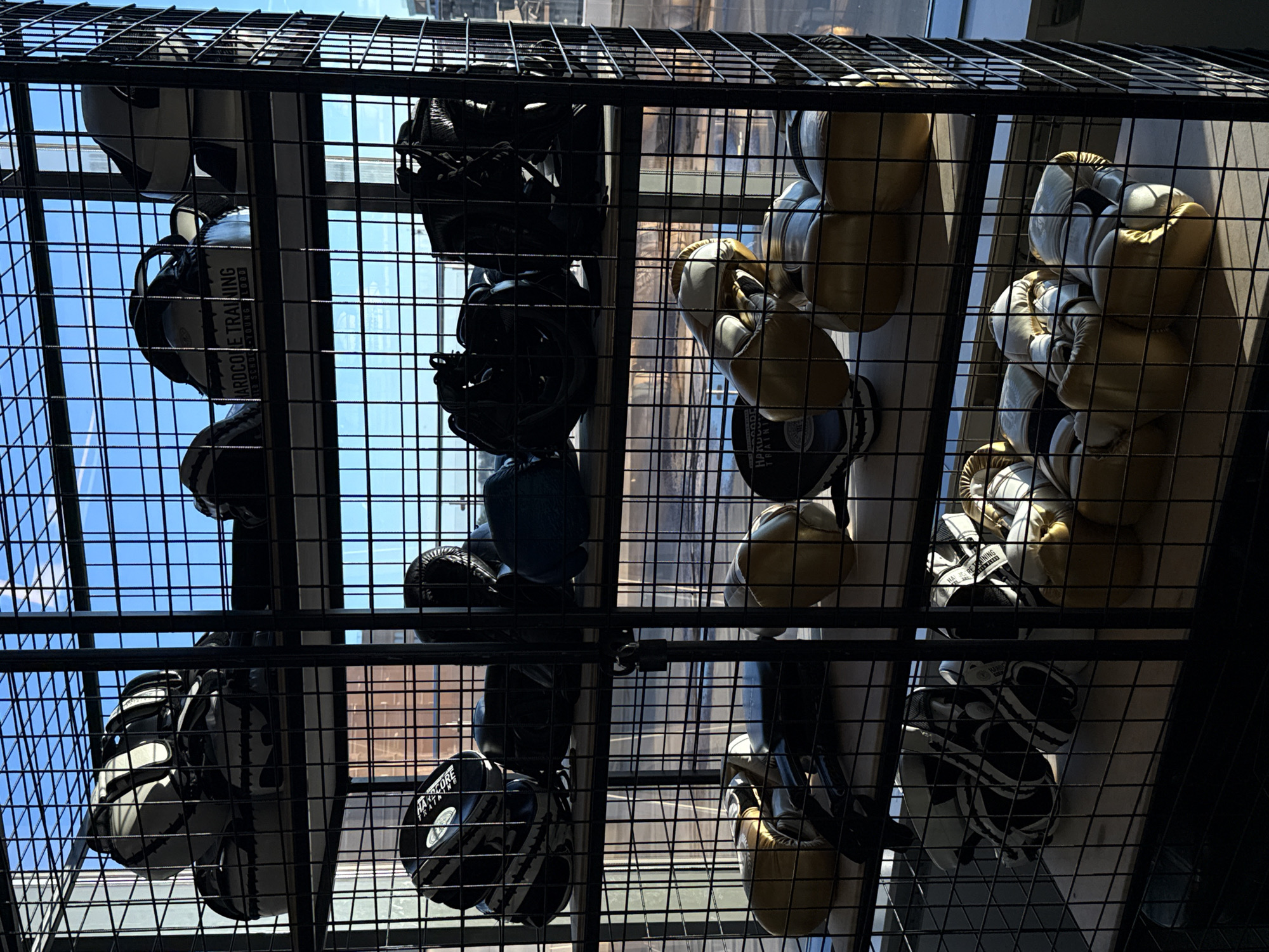 The image depicts a metal shelving unit filled with boxing equipment, including gloves and pads. The unit is positioned in front of a window with a clear blue sky and some clouds visible, suggesting an outdoor view. The lighting indicates it is daytime. The shelves are organized with different types of boxing gear, with some items appearing to be in heavier use than others. The overall setting appears to be an indoor training facility or gym. There are no people visible in the image. The scene is shot from a slightly low angle, looking up at the shelves. The metal grid of the shelving unit creates a patterned effect throughout the image.