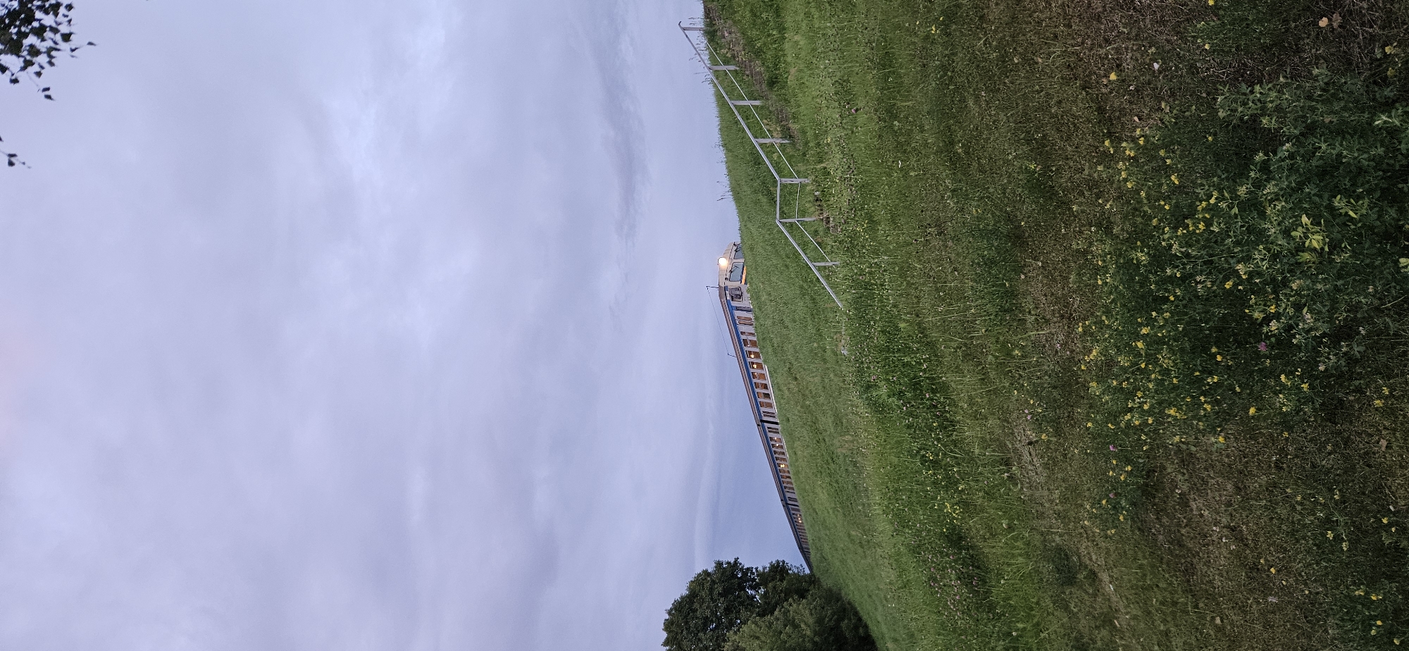 The image depicts a grassy embankment with a train moving along the top. The sky is overcast and gray. A set of metal railings with steps runs up the embankment. The train appears to be a passenger train with visible windows. The vegetation on the embankment is lush green grass with scattered yellow and pink wildflowers. A portion of a tree is visible on the left side of the image. The scene suggests a location near a railway line within a natural or semi-natural environment.