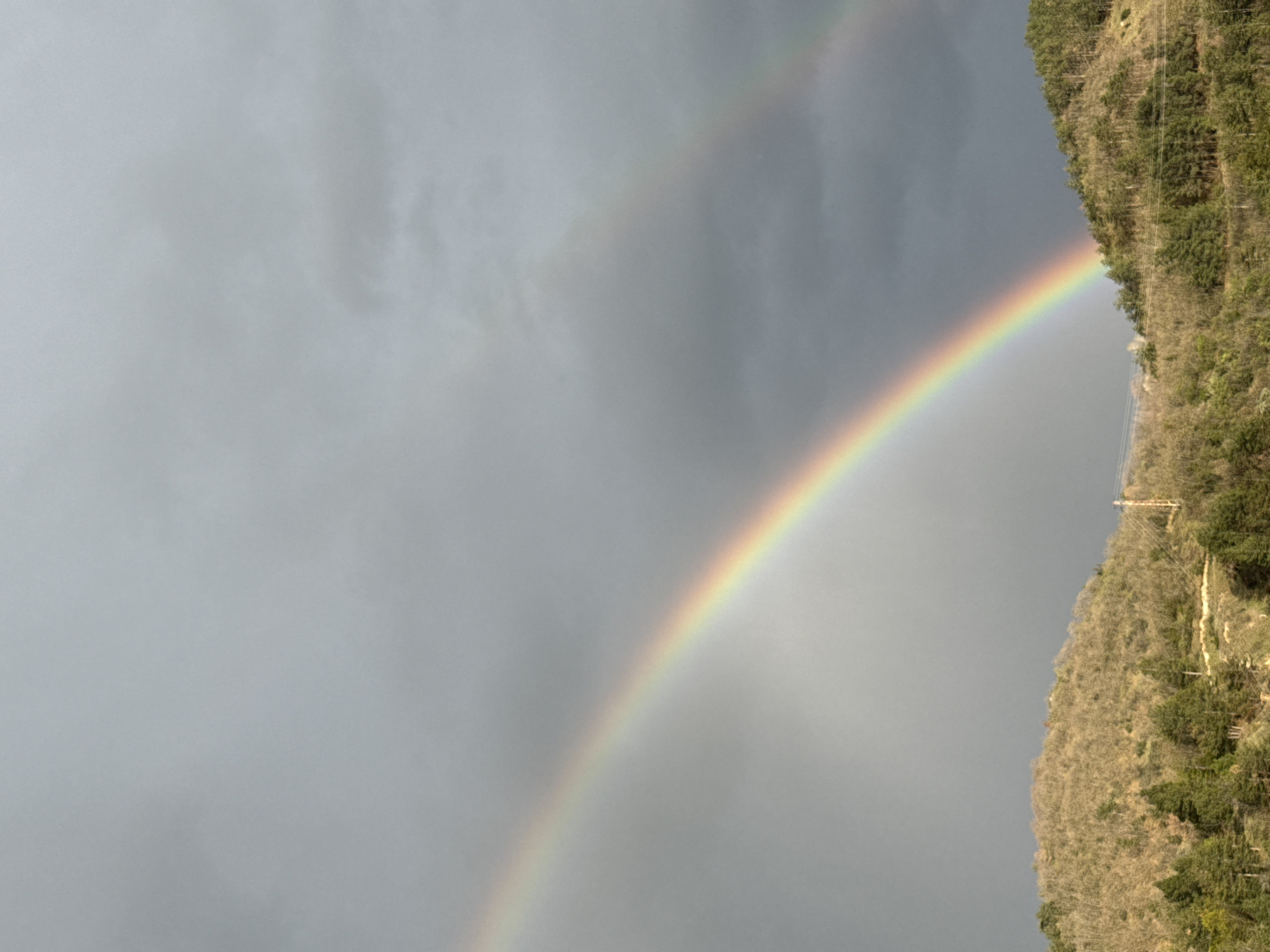 A rainbow stretches across the sky, its vibrant arc ending near a tree-covered hillside. The sky is overcast with grey clouds. Power lines are visible on the hillside. The location and city are not specified.