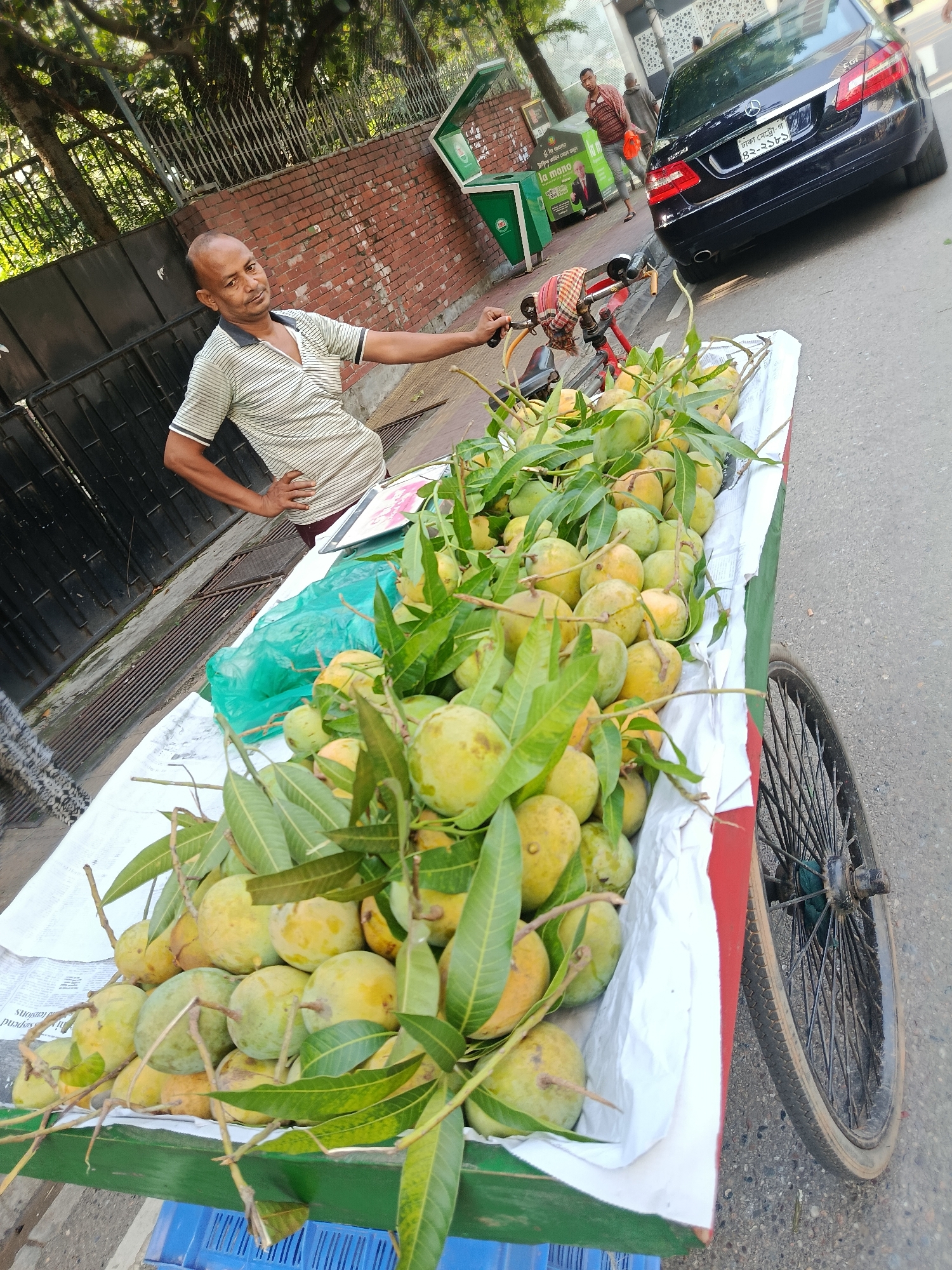 The image shows a man standing next to a cart laden with mangoes in Dhaka, Bangladesh. The vendor is a bald man wearing a striped shirt and dark trousers. He is leaning on the handle of his cart and looking at the camera. The cart is filled with green and yellow mangoes, many still attached to leafy branches. It has a white cloth lining and is green and red around the edges. The cart is pulled by a bicycle, whose front wheel is visible.
Behind the man, there is a brick wall, a green trash bin, and a dark-colored Mercedes-Benz with license plate "ঢাকা মেট্রো-গ ৪২-২১৮১". Two people are walking in the background. The environment appears to be a street or sidewalk.