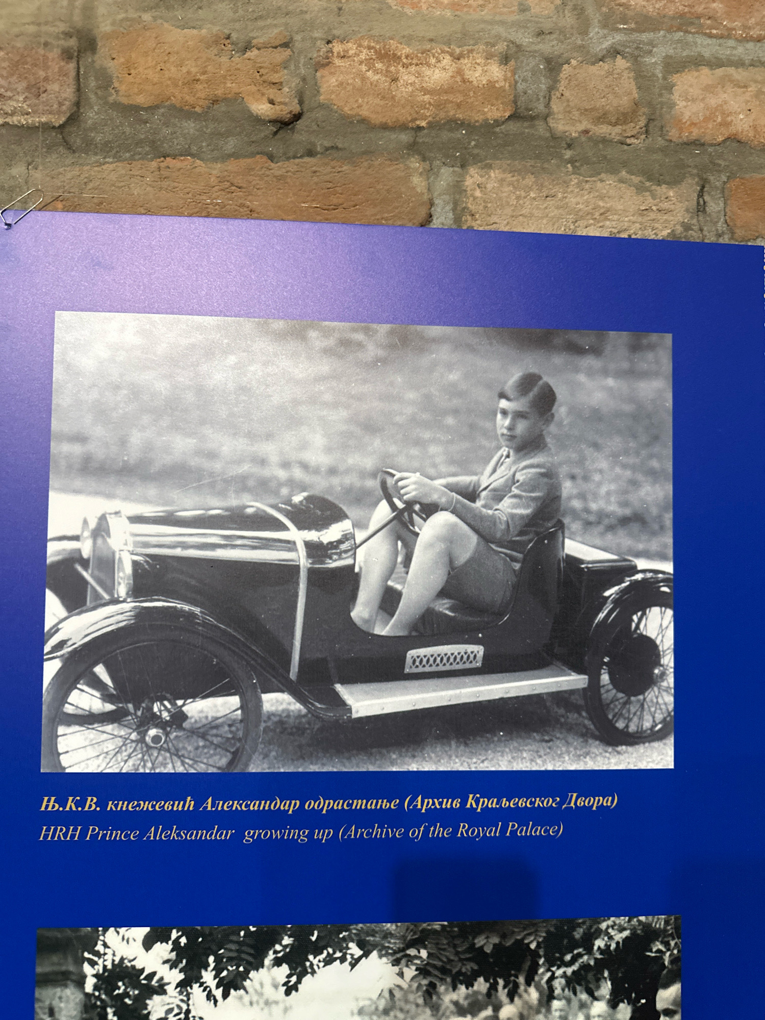 A black and white photograph shows a young boy, likely Prince Aleksandar, sitting in a toy car. The boy is wearing a suit and shorts, and he is holding onto the steering wheel. The toy car is a vintage model with a detailed design, featuring spoked wheels and a prominent grille. The photograph is set against an outdoor backdrop with blurred greenery. Below the image, text in Serbian and English identifies the subject as "HRH Prince Aleksandar growing up (Archive of the Royal Palace)". The image appears to be displayed on a wall, with the top portion showing a brick pattern. The location is within the city of Topola Municipality, Serbia.