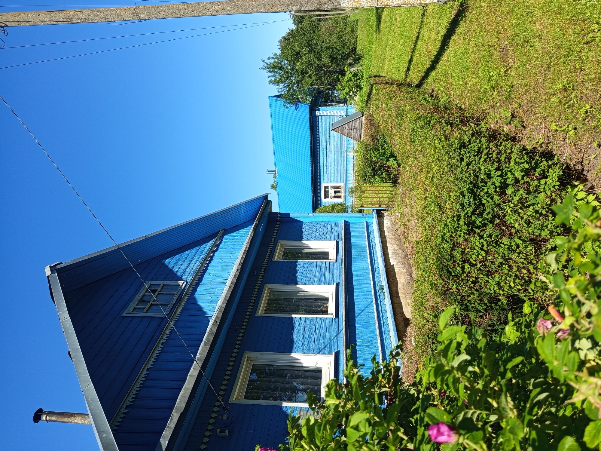 The image shows a close-up view of two blue wooden houses with white trim and windows. The house in the foreground is larger and more detailed, with decorative elements along the roofline. The second house is visible in the background, also painted blue with a metal roof. A chimney pipe extends from the front house. Lush green grass and bushes surround the houses, and a pink flower is visible in the foreground. The sky is a clear, bright blue, suggesting a sunny day. A utility pole with wires is present on the left side of the image, casting a shadow across the scene. The overall setting appears to be a rural or suburban residential area, possibly in Ostrovtsy, Russia, given the provided location context. The image is taken from a low angle, looking up at the houses and the sky. There is no visible text in the image.