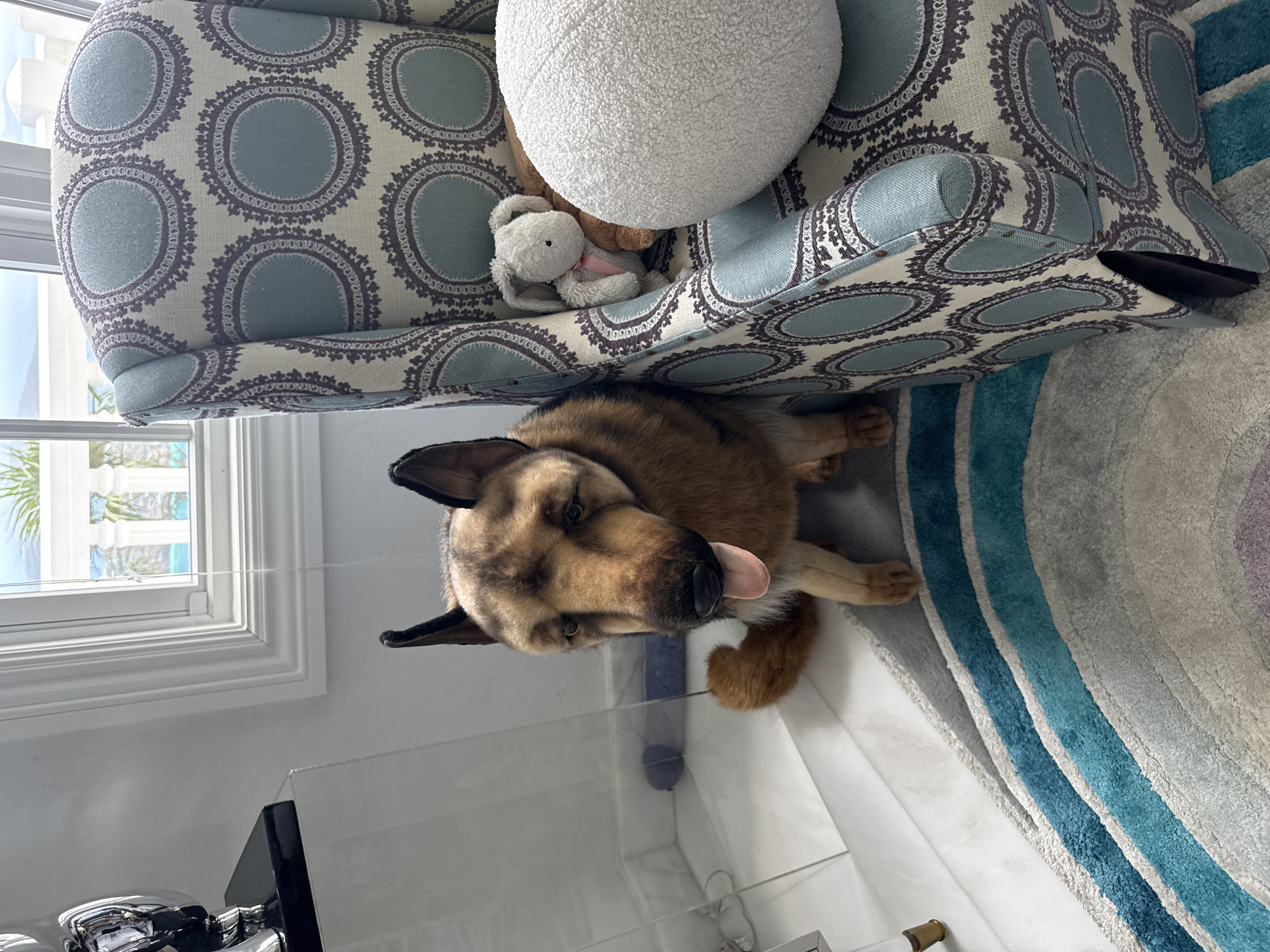 In Lindbergh Bay, United States of America, a German Shepherd dog sits on a carpeted floor next to a chair. The dog is a plush toy with realistic fur coloring and has its tongue hanging out. It is facing towards the left of the frame. The chair is upholstered in a blue and white patterned fabric and has a white circular pillow and a stuffed rabbit on its seat. The floor is covered by a rug with blue and grey stripes. In the background, a window overlooks a body of water with palm trees. The scene is well-lit, possibly by natural light from the window.